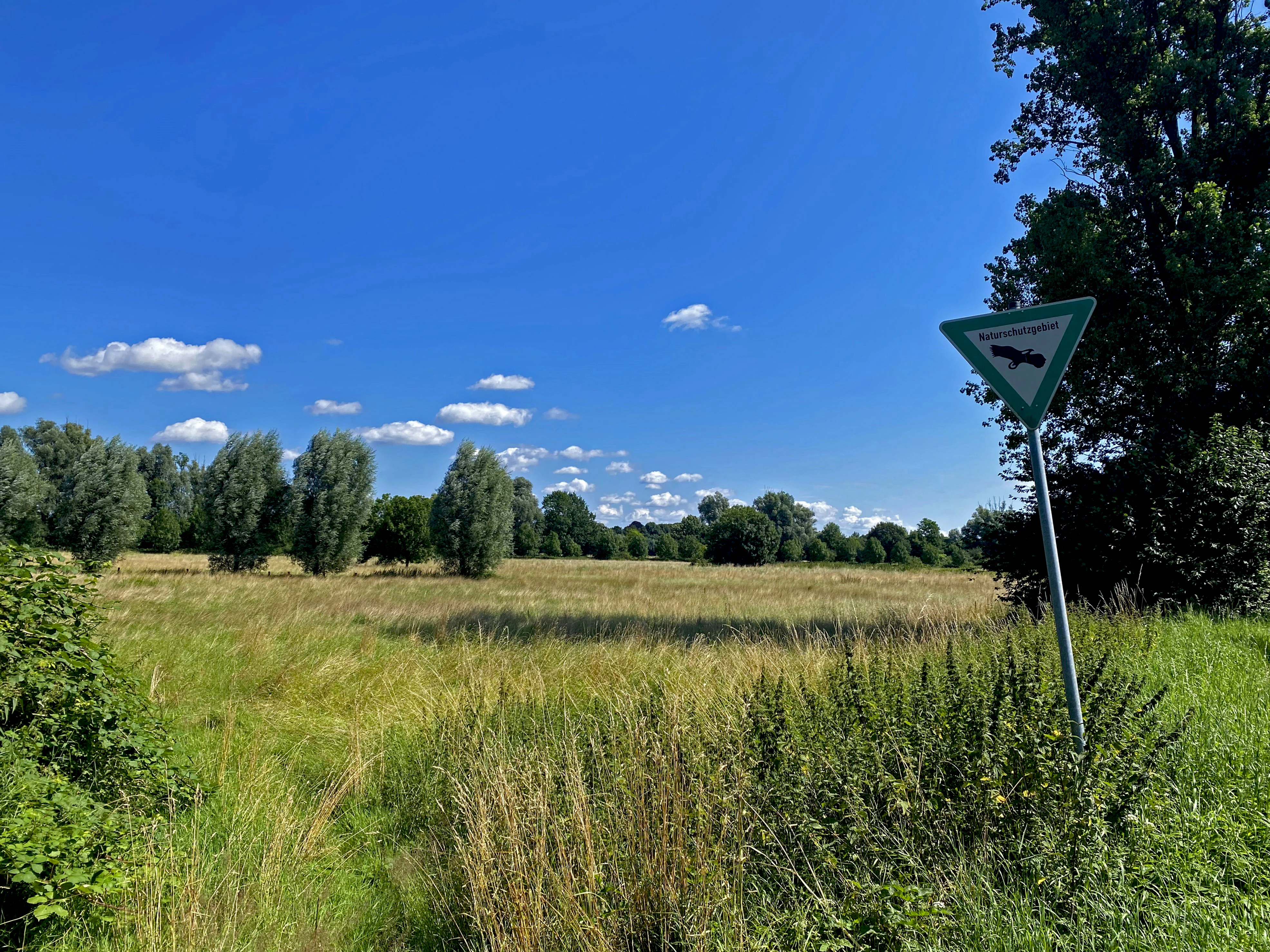 A triangular trail sign stands on a metal post in the foreground, with an expansive, sunny meadow and a line of trees in the background under a blue sky.