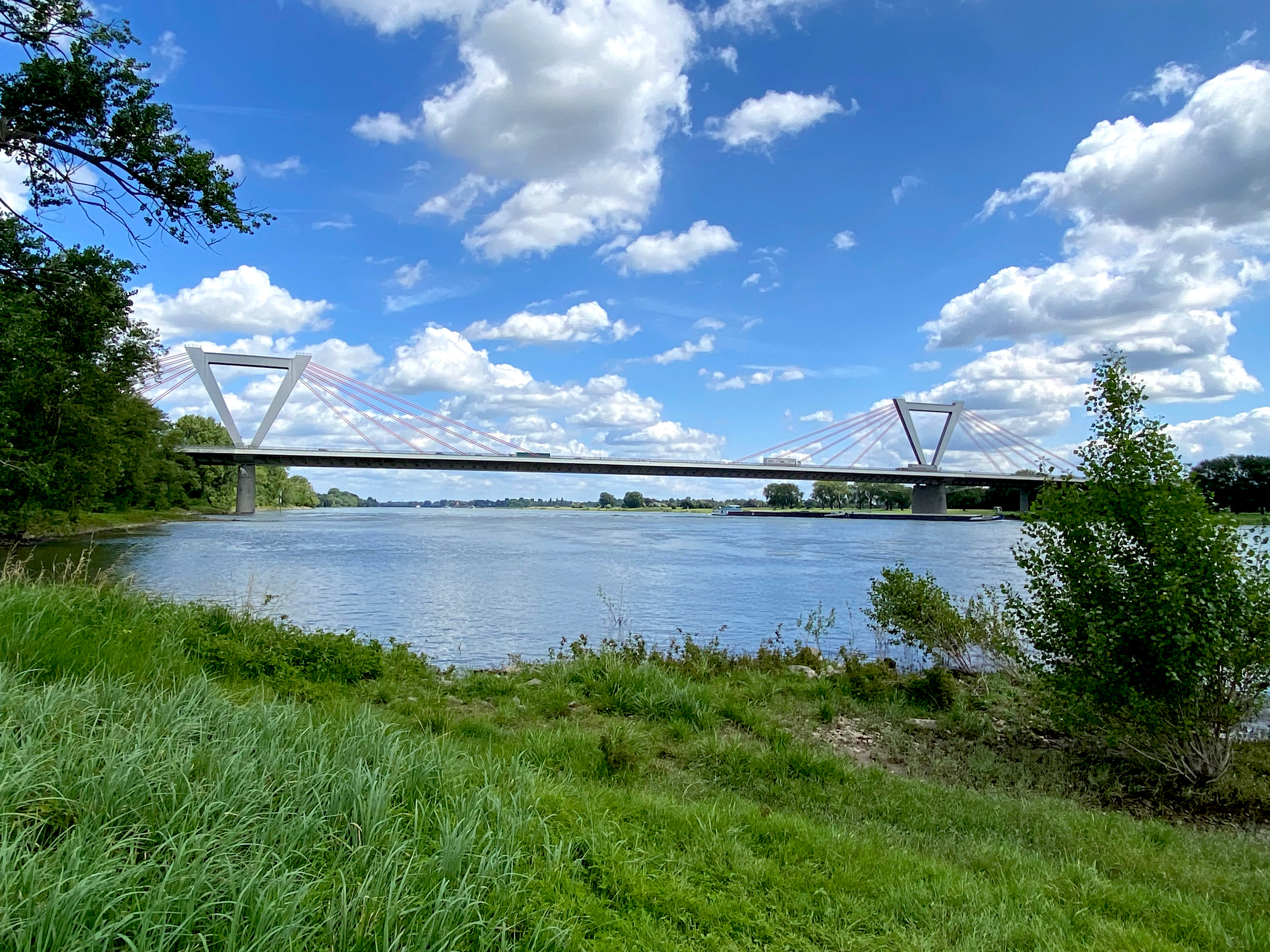 A wide view of the Rhine riverbank featuring lush green grass in the foreground and a large cable-stayed bridge spanning the water under a blue sky with scattered clouds.