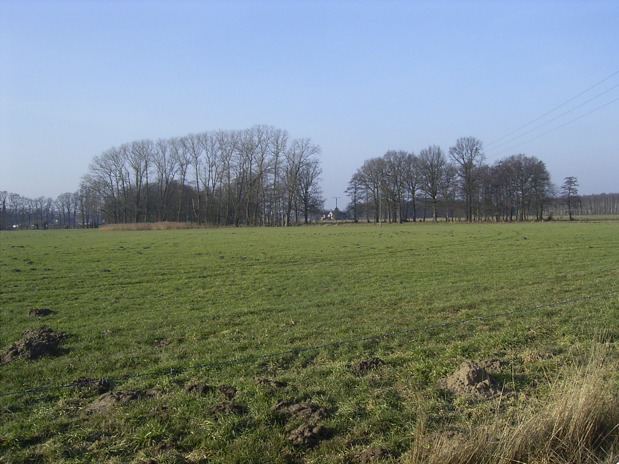 A wide view of a green, grassy meadow at Im Binner, with groups of bare-branched trees in the background under a clear light blue sky.