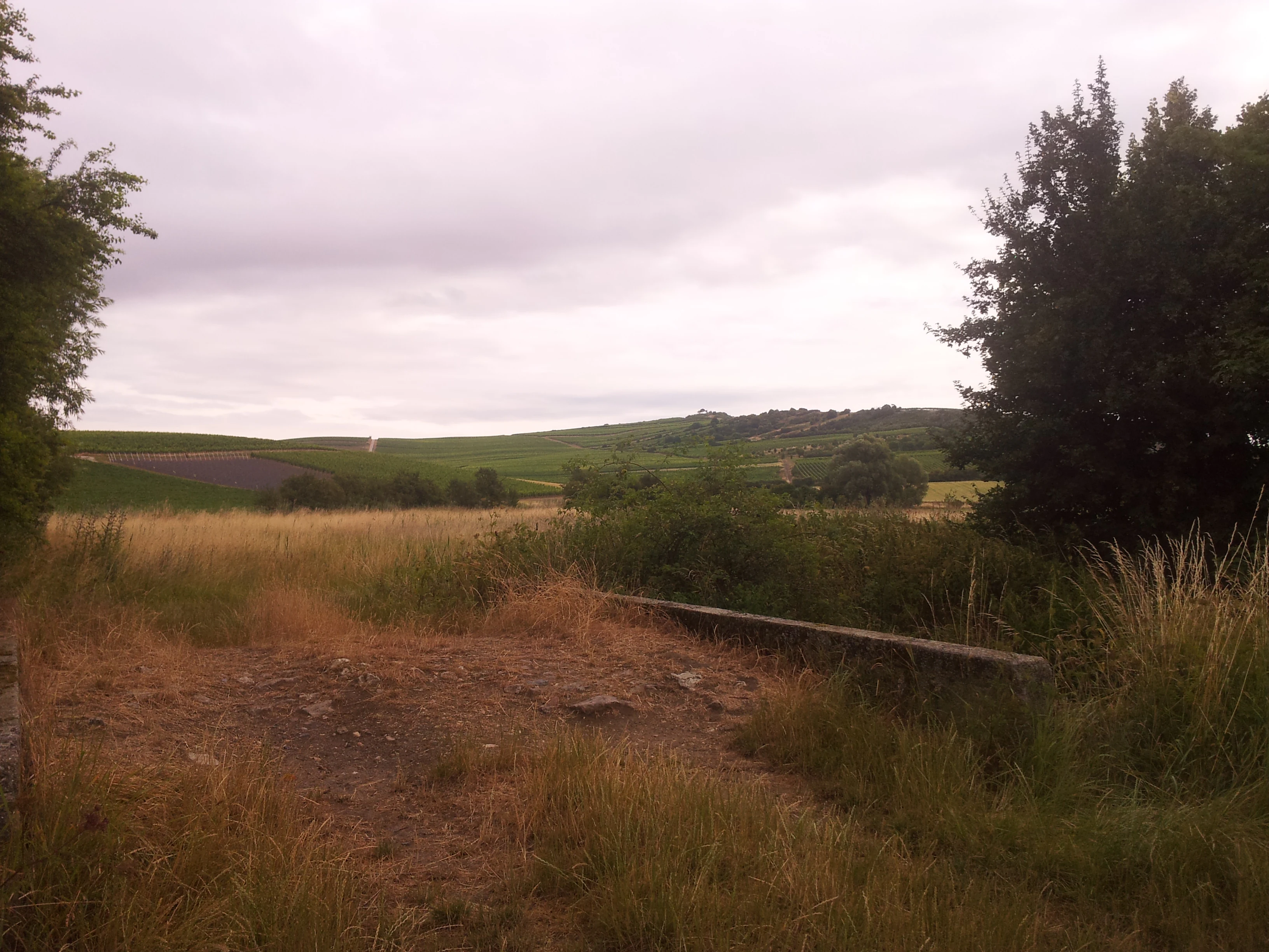 A wide view of a grassy meadow and shrubbery under a cloudy sky, with rolling hills in the background and a concrete structure visible in the midground.