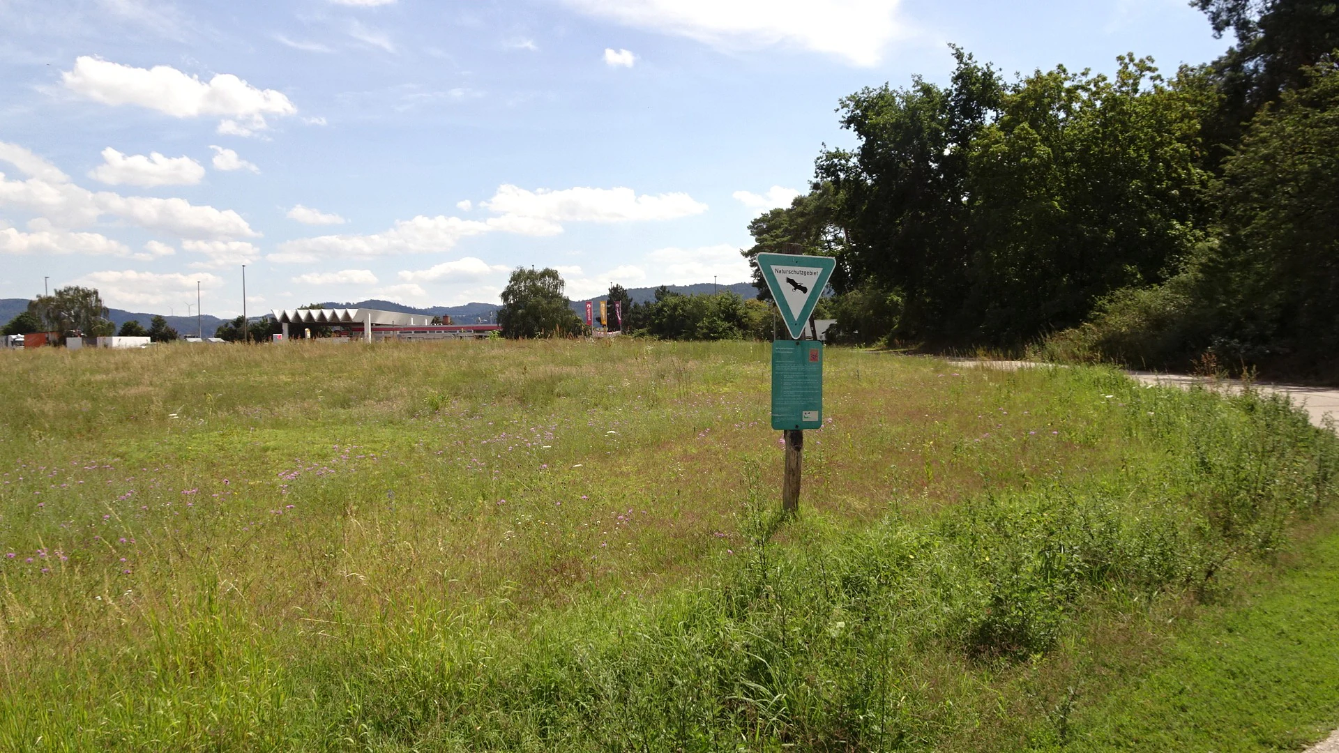 A nature reserve triangular warning sign on a wooden post in an open grassy field with trees and distant buildings in the background.