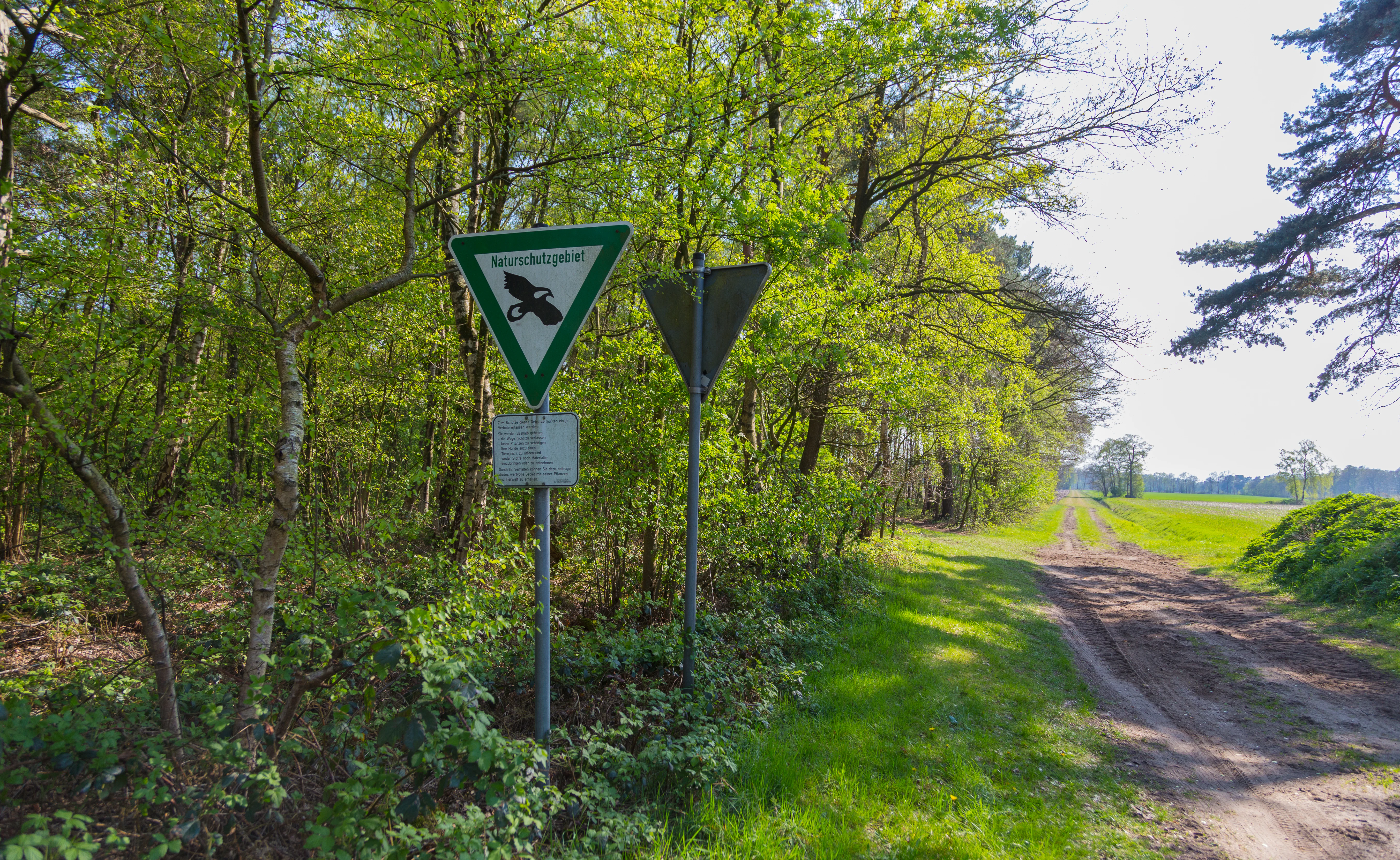 A green triangular nature reserve sign featuring an eagle emblem stands on a metal post next to a dirt trail bordering a forest and an open field.