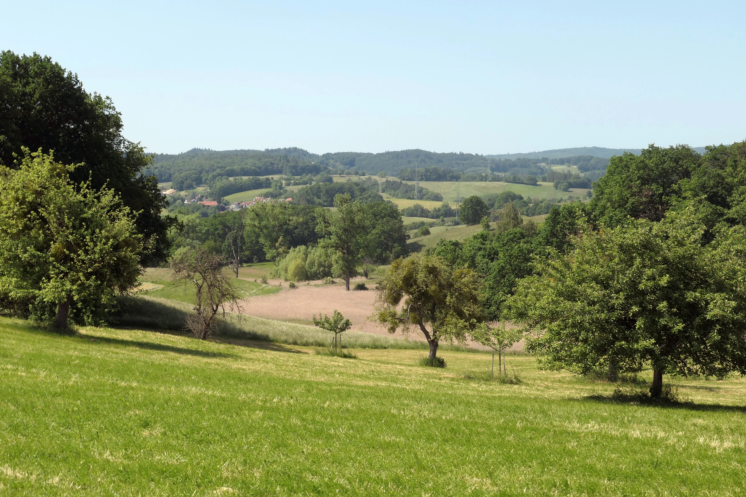 A wide landscape view of a rural nature reserve featuring green grassy meadows in the foreground, scattered trees and a brown plowed field in the midground, and forested hills under a clear blue sky in the background.