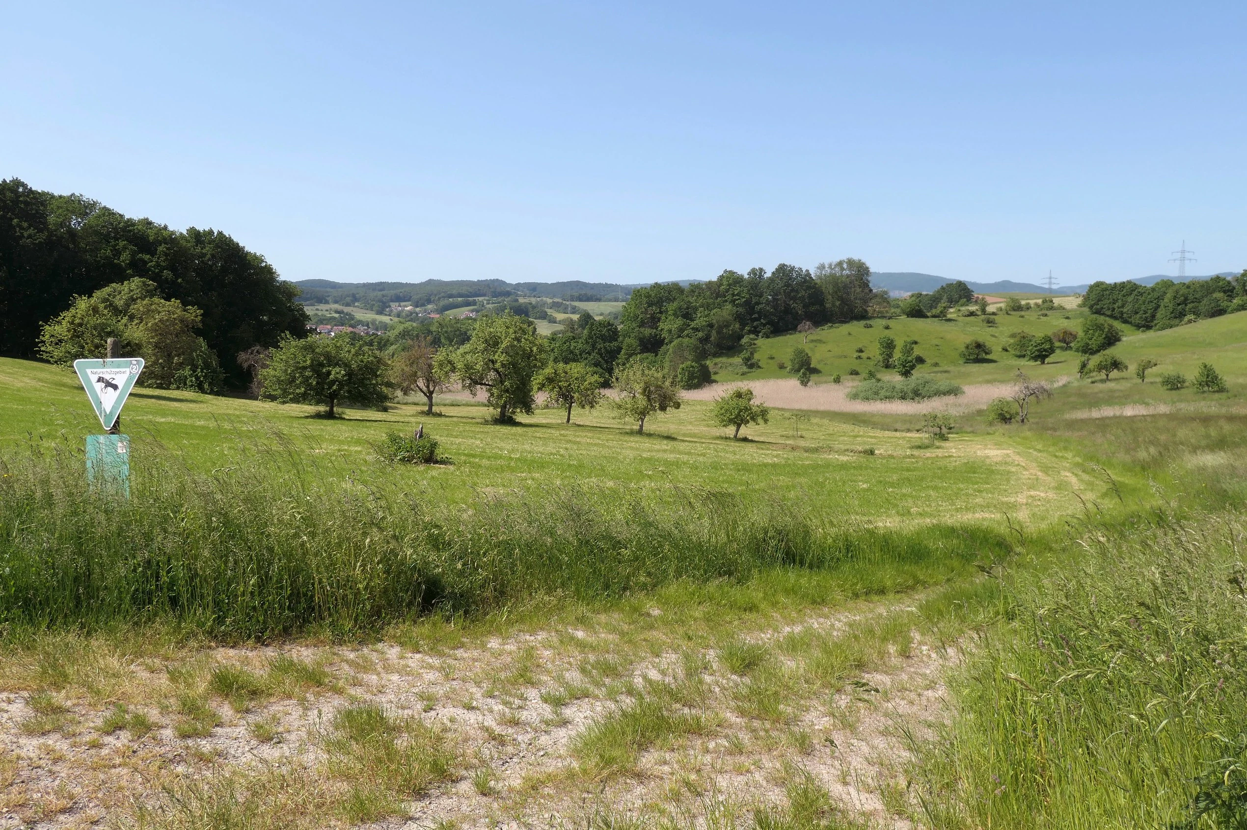 A grassy meadow landscape with scattered trees and a forest edge under a clear blue sky, featuring a triangular nature reserve sign in the left foreground.