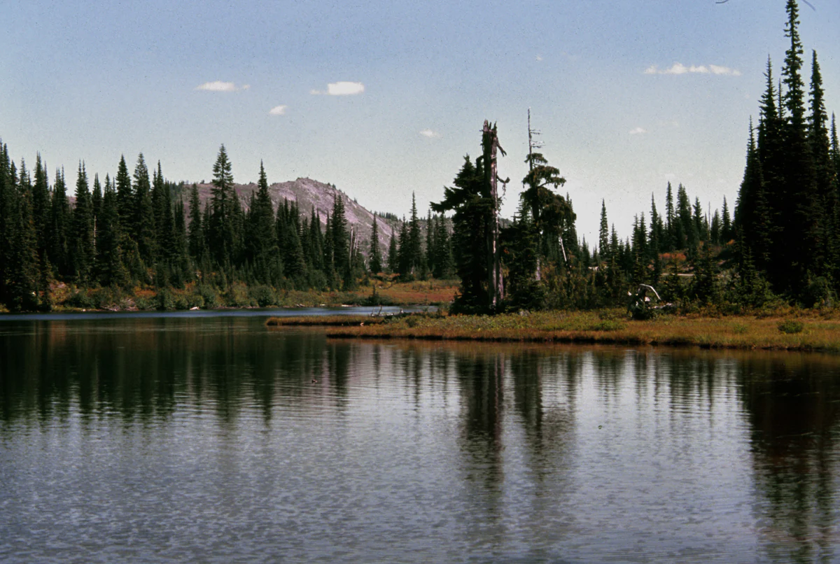 A small, calm alpine lake with reflections of surrounding pine trees and a distant low mountain in the background.