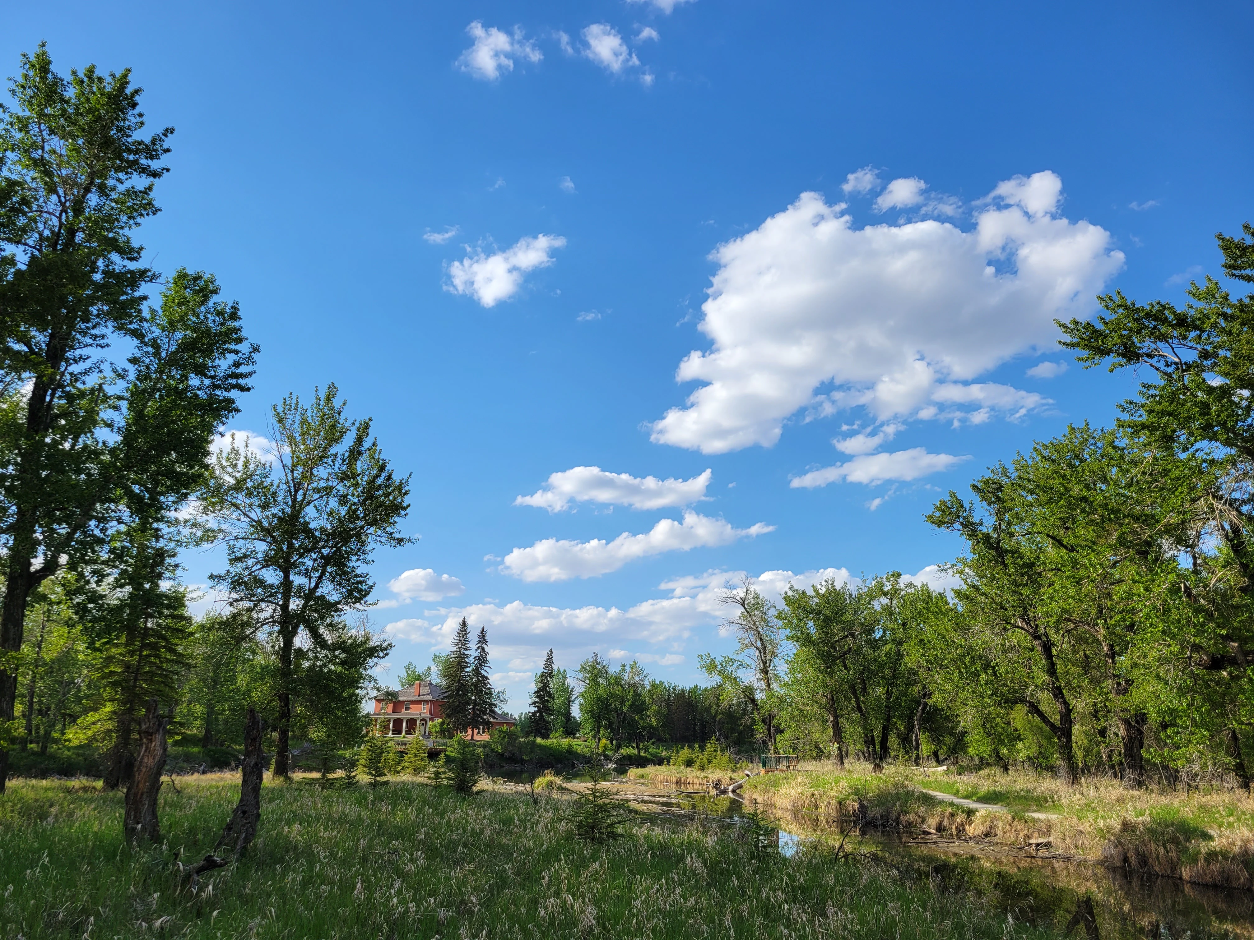 A sunny day view of a grassy meadow and wetlands surrounded by trees, with a building visible in the distant background.