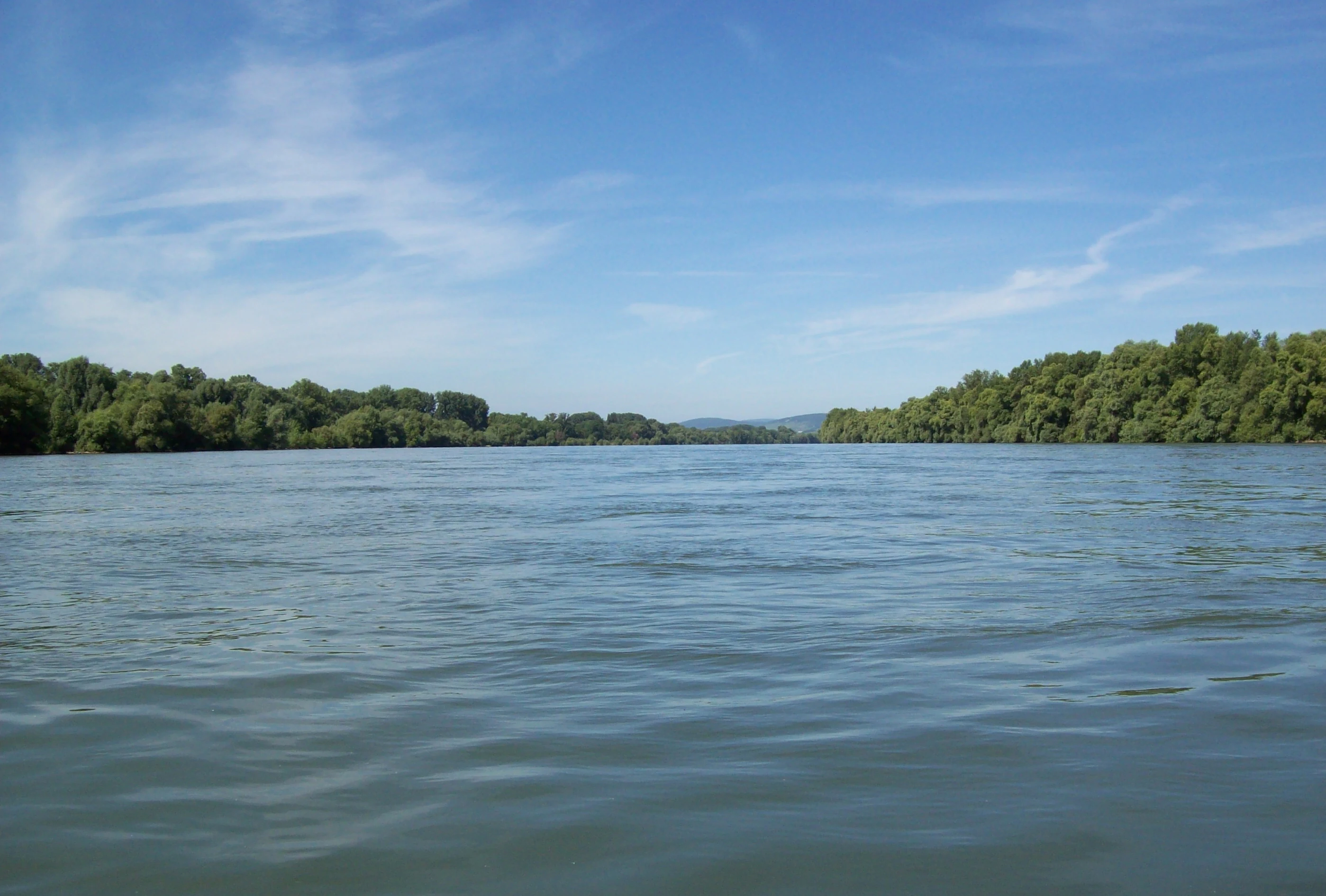 A wide, calm river flows through a lush, green, wooded floodplain under a clear blue sky with light wispy clouds.