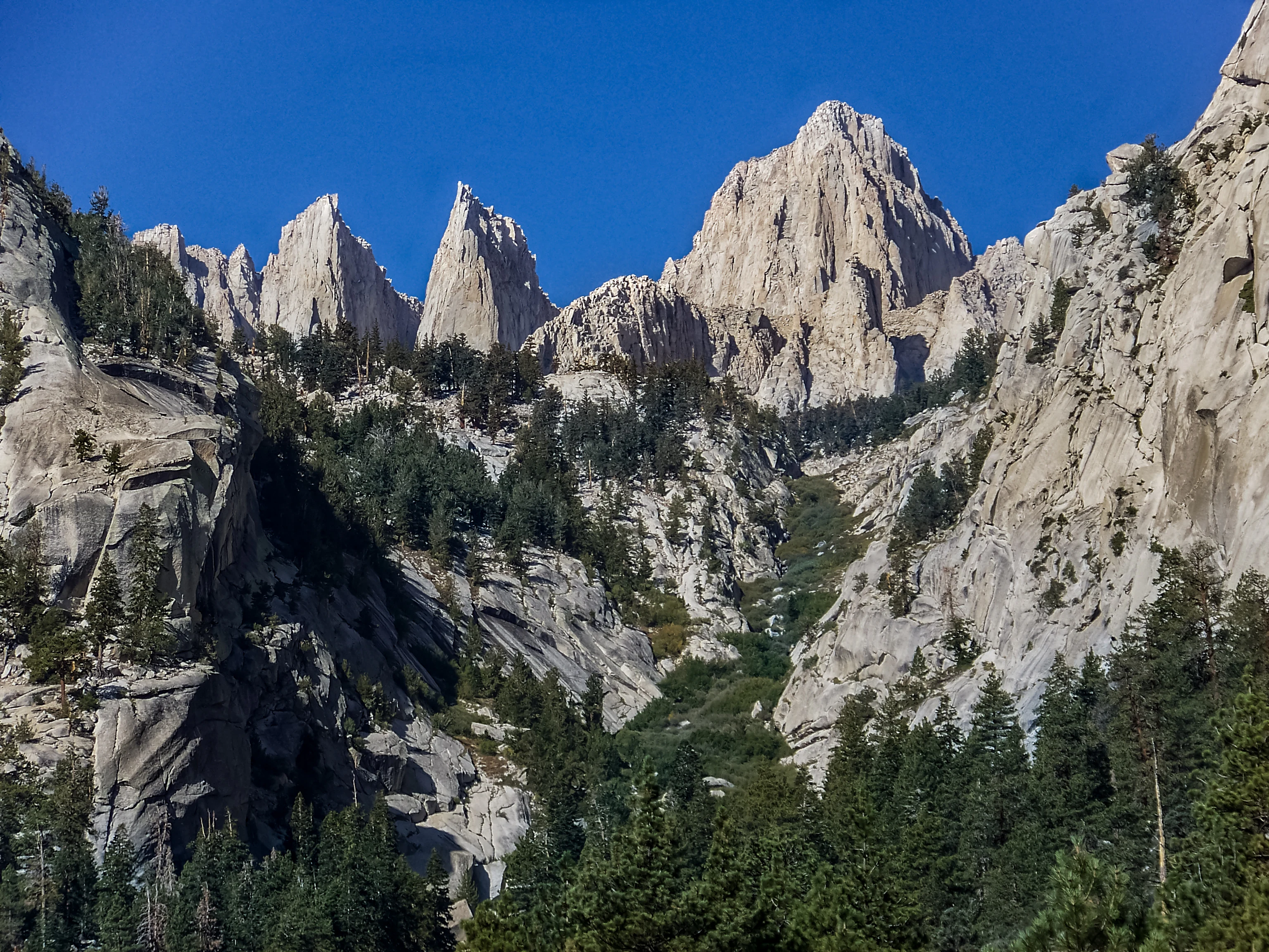 A wide view of craggy granite peaks against a clear deep blue sky, with a forest of conifers in the foreground and valley below.