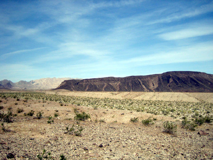 A vast, arid desert landscape under a blue sky, featuring sparse low-lying scrub brush in the foreground and a line of dark, rocky mountain ridges in the background.