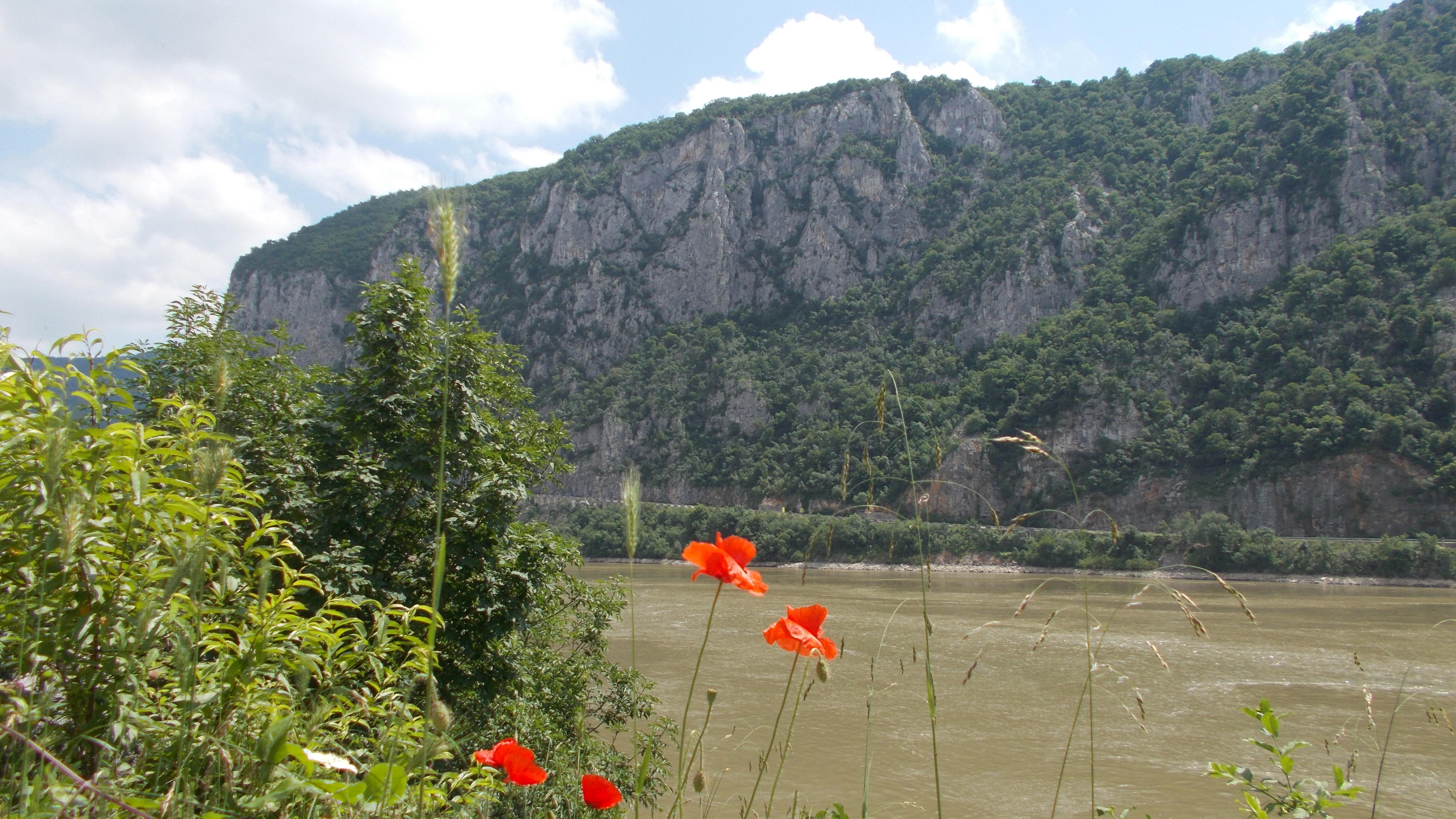 Red poppies, green vegetation, Danube River, rocky cliffs, partly cloudy sky