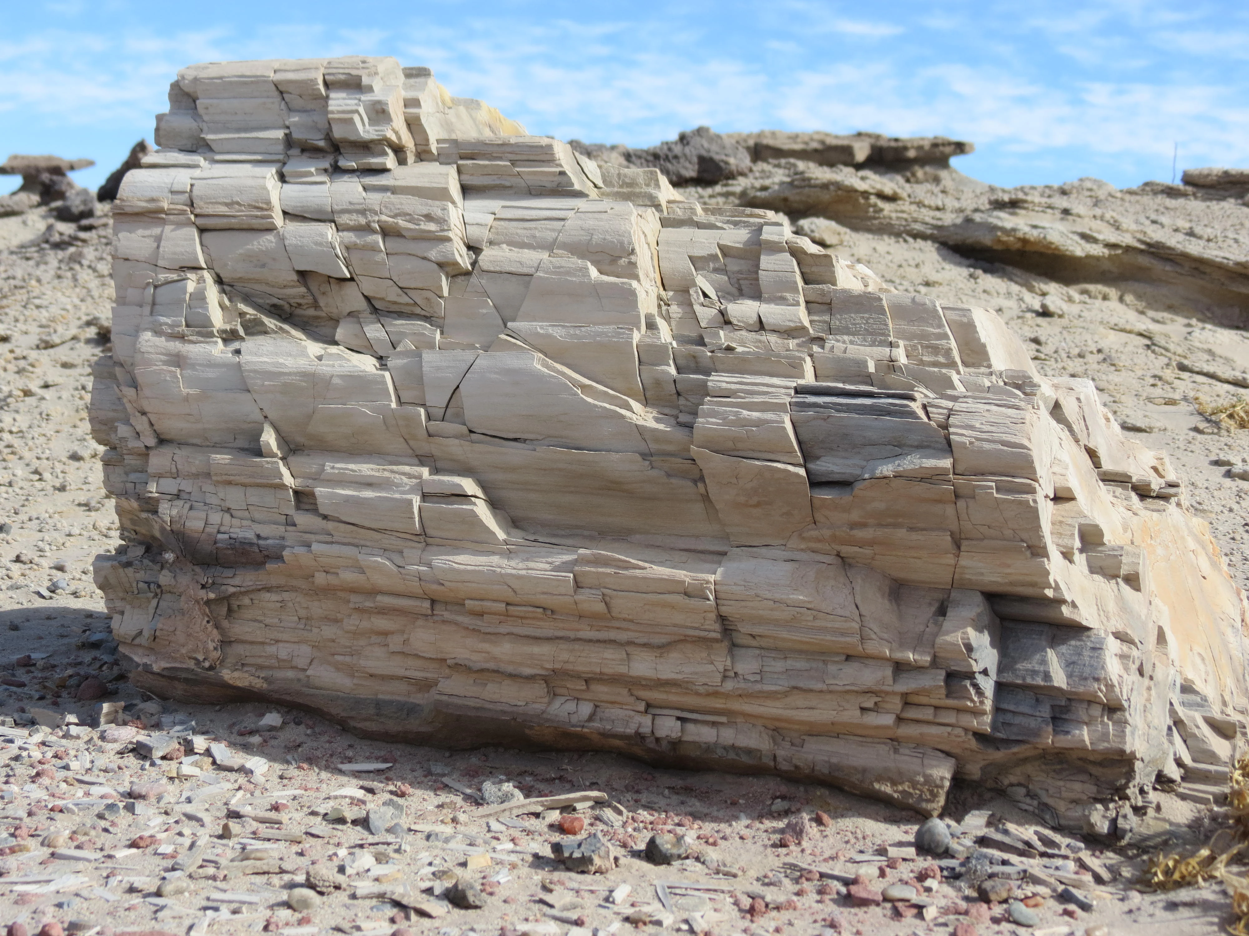 A close-up view of a large, blocky piece of petrified wood resting on a rocky, desert ground surface in a bright, arid environment.