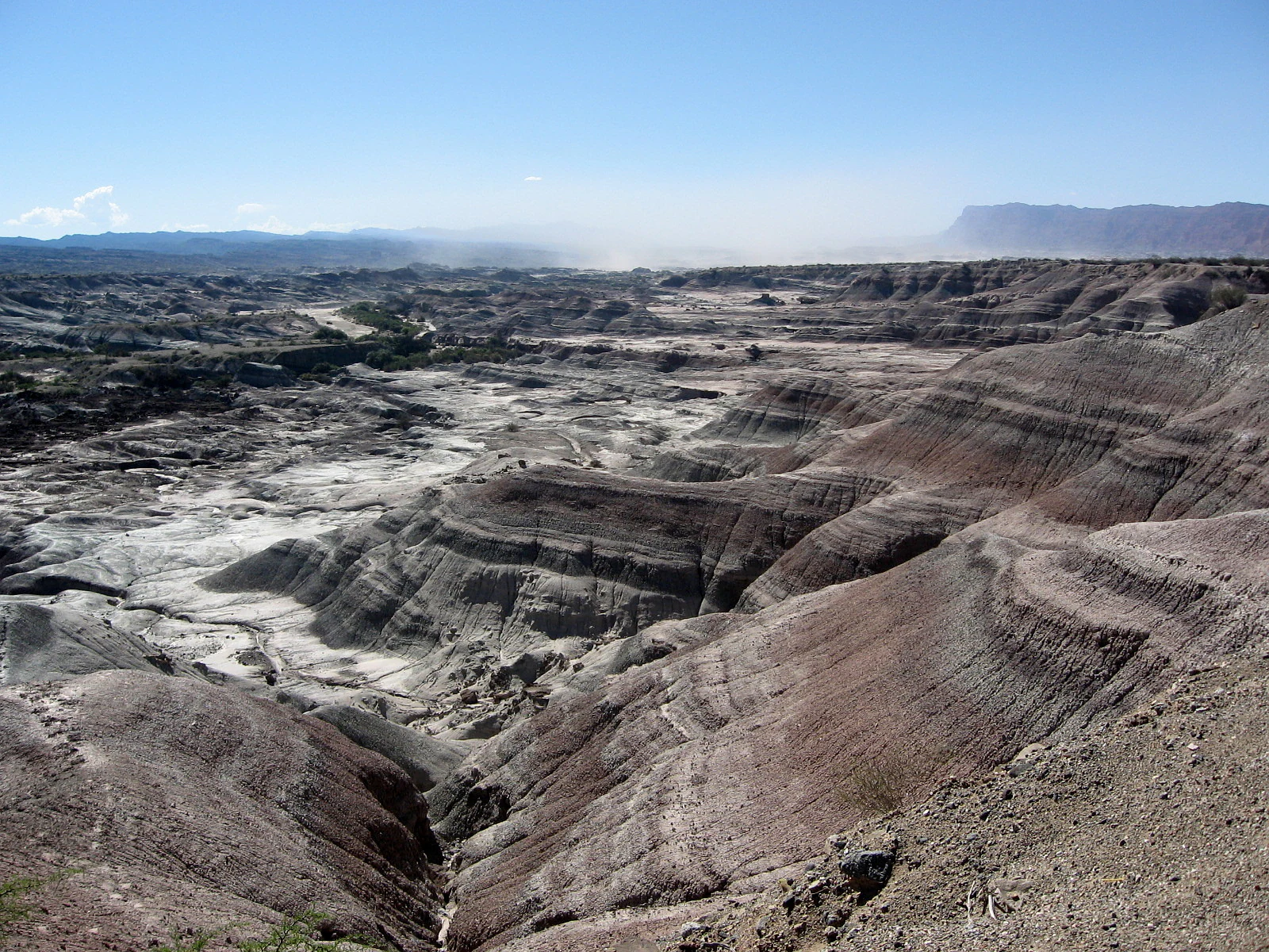 Wide panoramic view of Valle Pintado, showing multi-layered, barren earth formations with distinct bands of gray, reddish, and tan sediment under a clear sky.