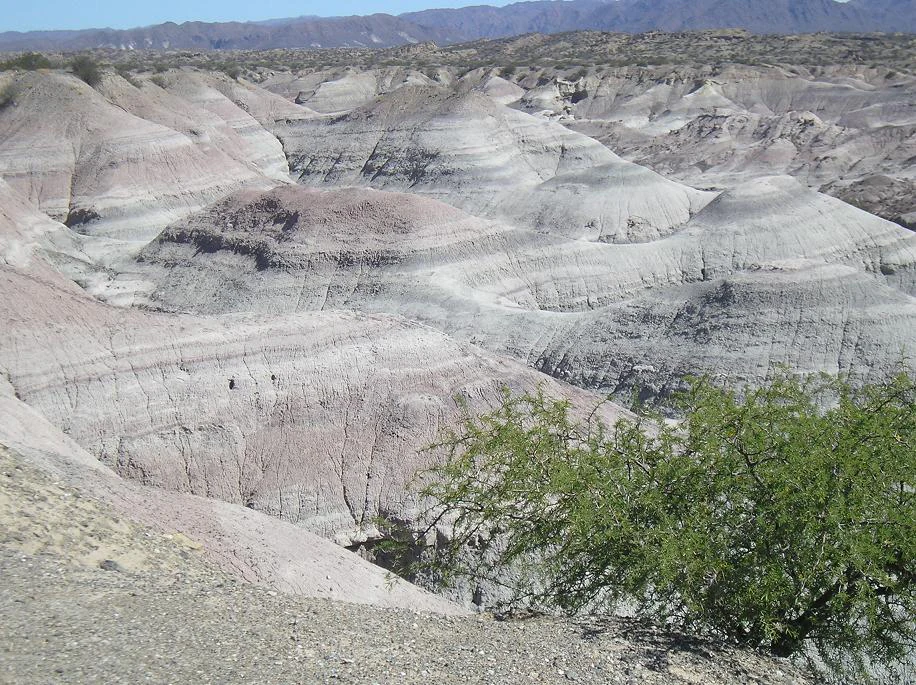 A wide, arid landscape of layered grey and tan sedimentary hills with sparse green shrubs in the foreground, under a clear sky.