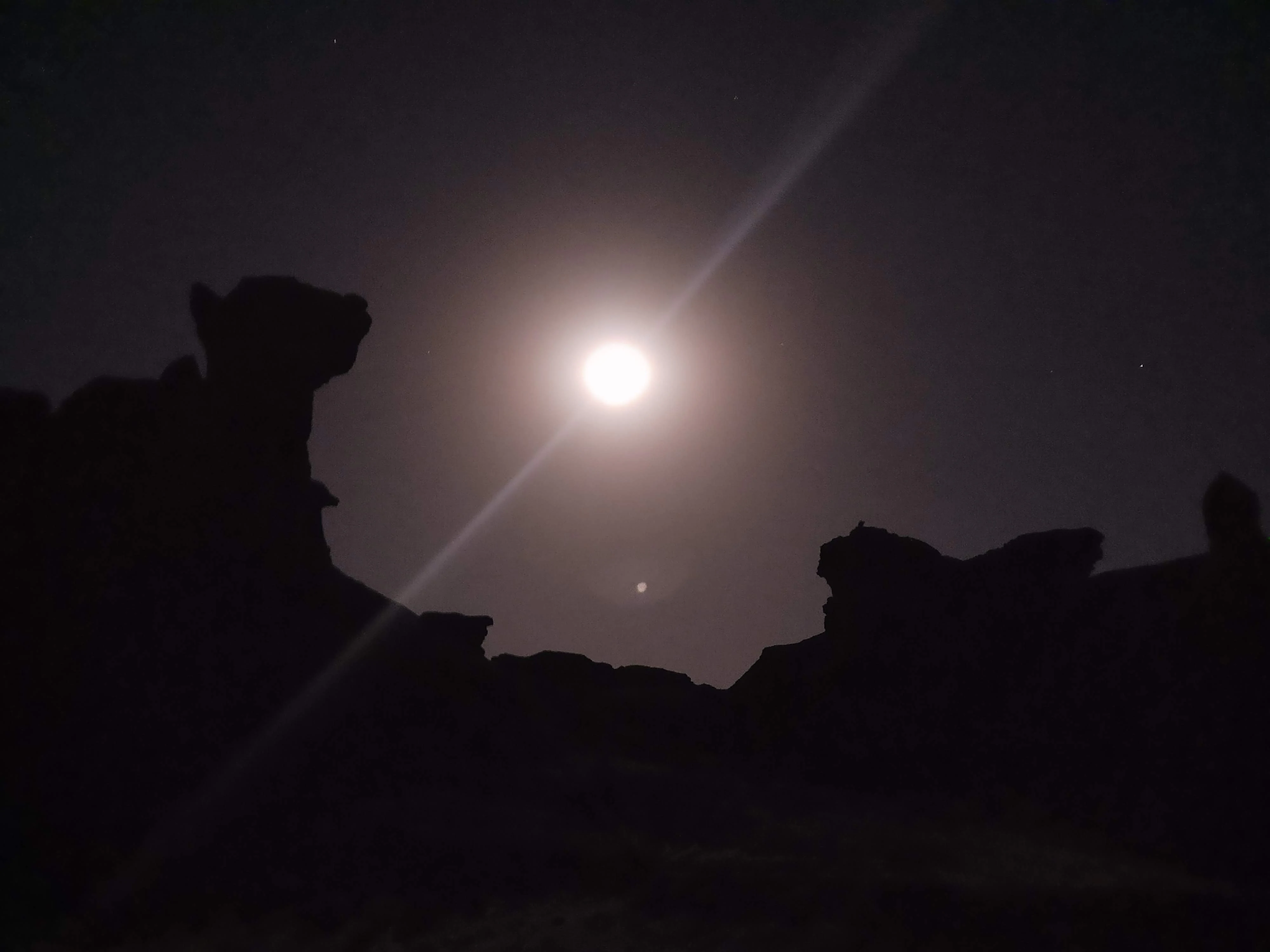 A night landscape view showing the silhouettes of unusual rock formations against a bright moon and dark sky in Ischigualasto Provincial Park.
