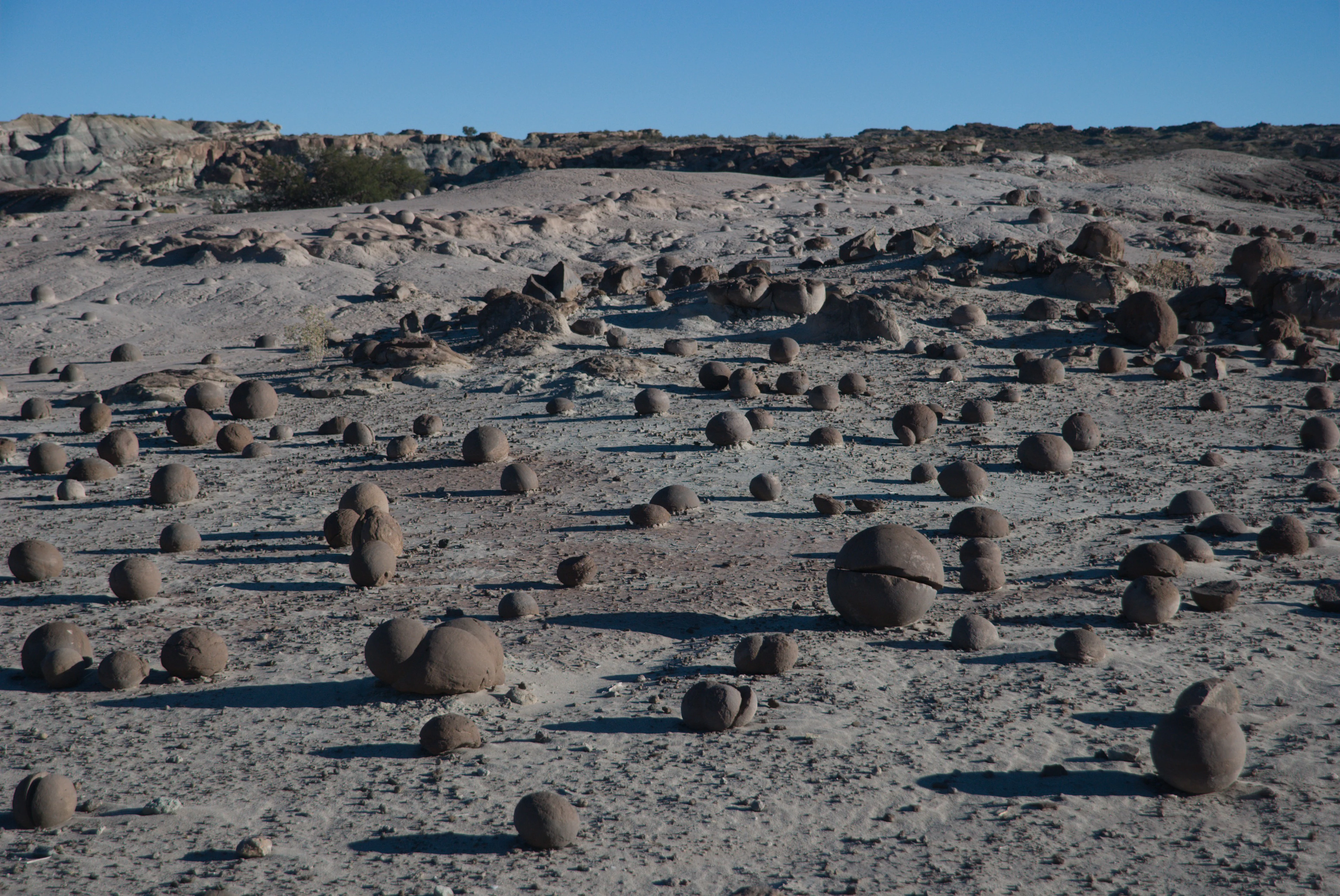 A wide, arid, desert landscape scattered with dozens of natural, smooth, spherical sandstone concretions covering the pale, dry ground under a clear blue sky.