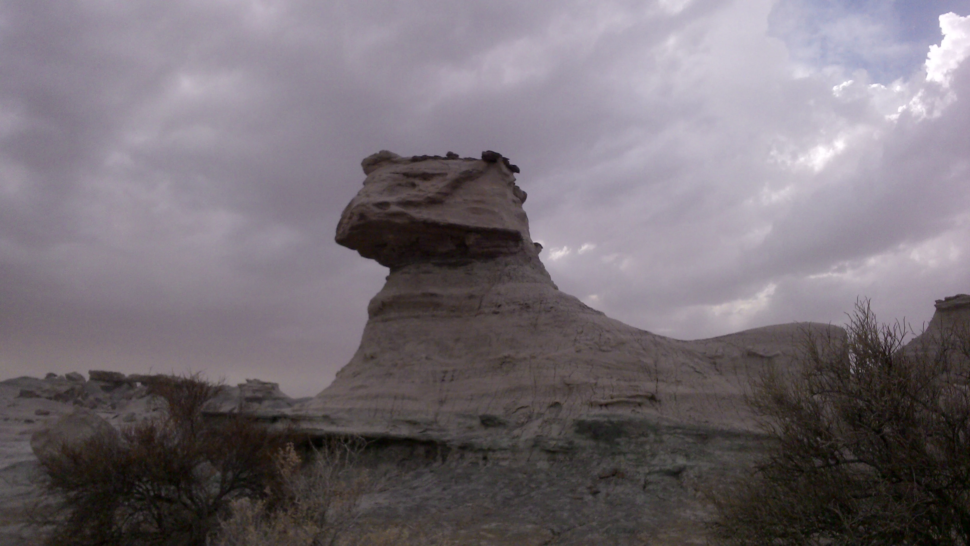 A pale, wind-eroded sandstone rock formation shaped like a resting cat, set against a cloudy, overcast sky in a desert landscape.
