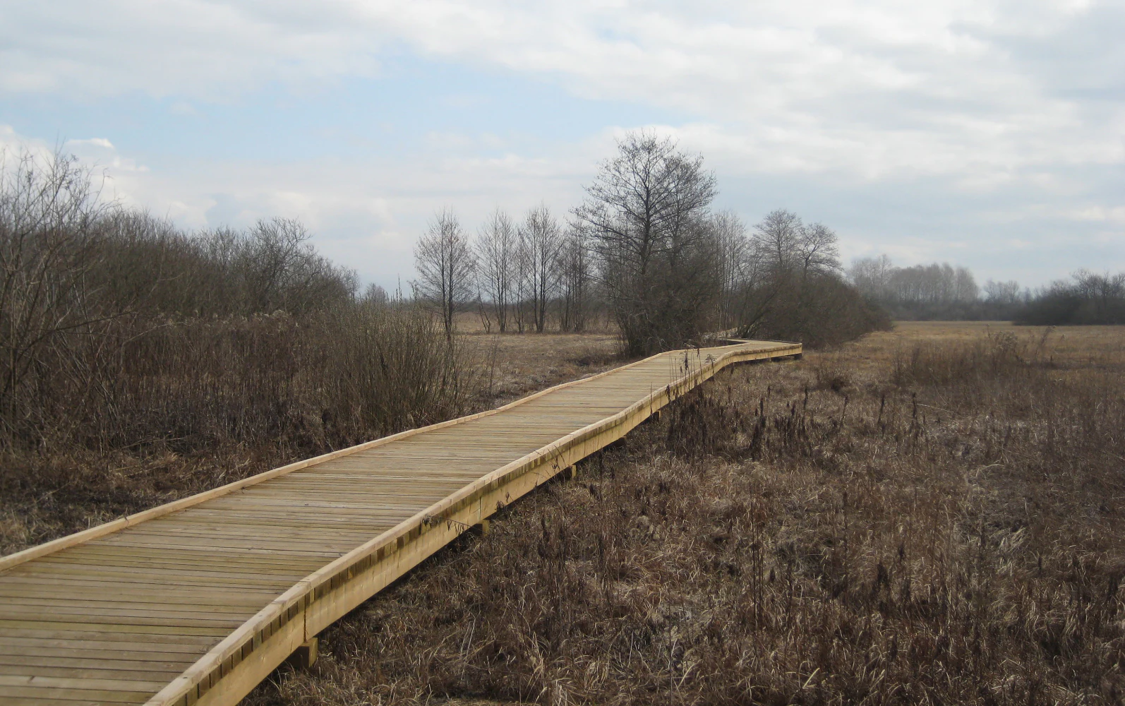 A wooden boardwalk trail extending into the distance through a flat, brown, dormant marshland area under a cloudy sky.