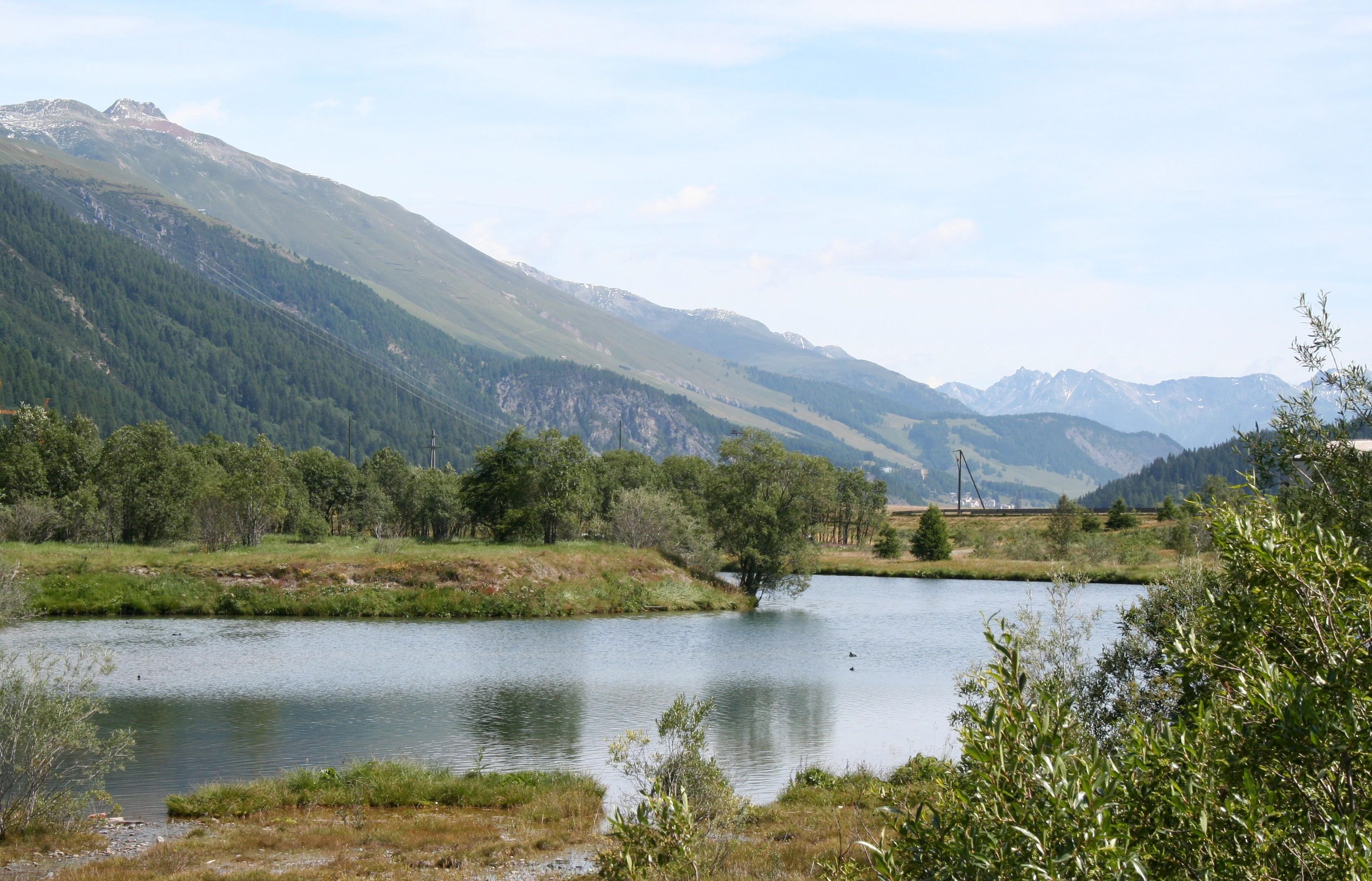 Un lago tranquilo en primer plano rodeado de vegetación pantanosa, con suaves colinas y montañas al fondo bajo un cielo pálido.