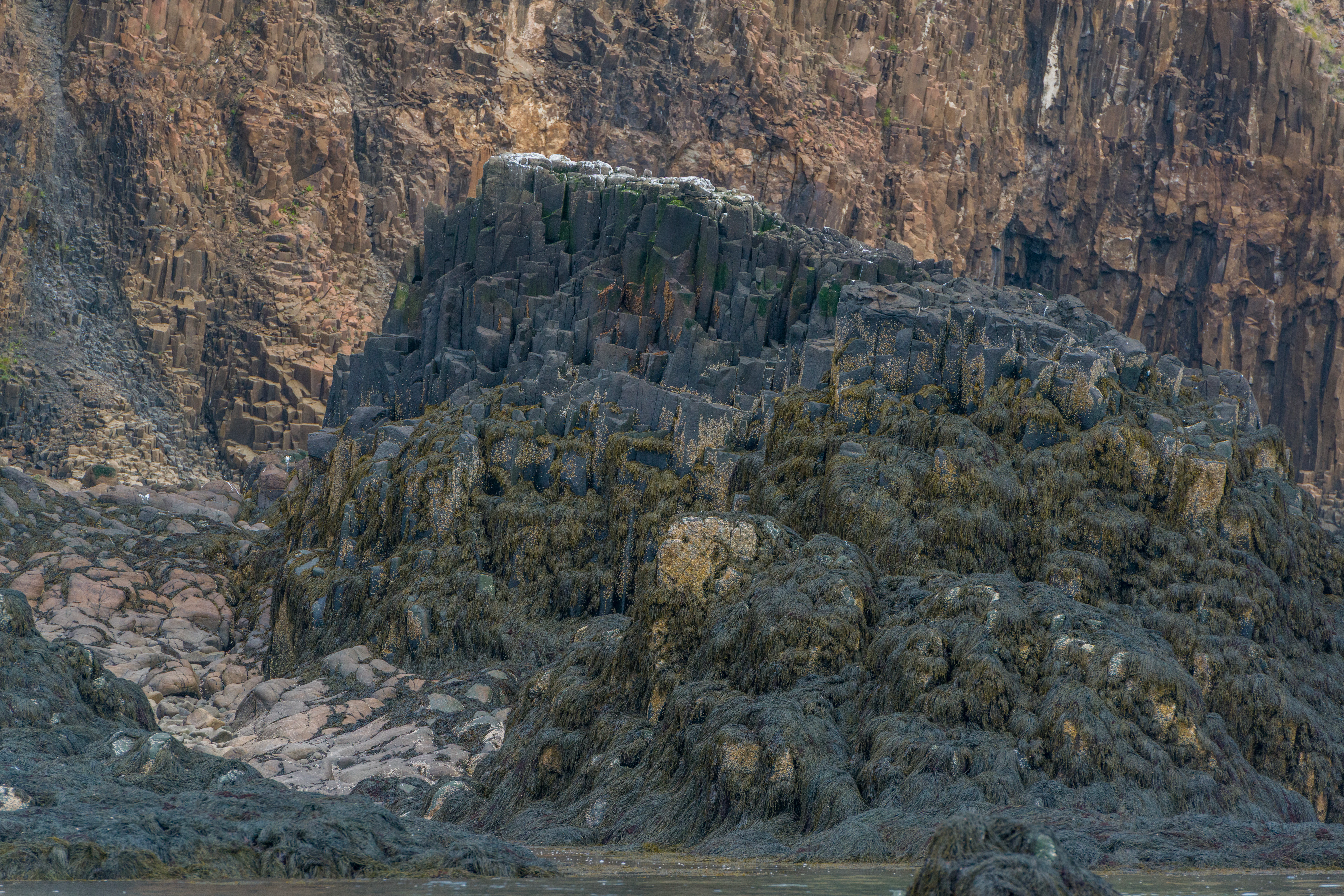 A close up view of rugged, dark gray columnar basalt rock formations set against a taller, layered brown cliff face on the coast of Île Haute.