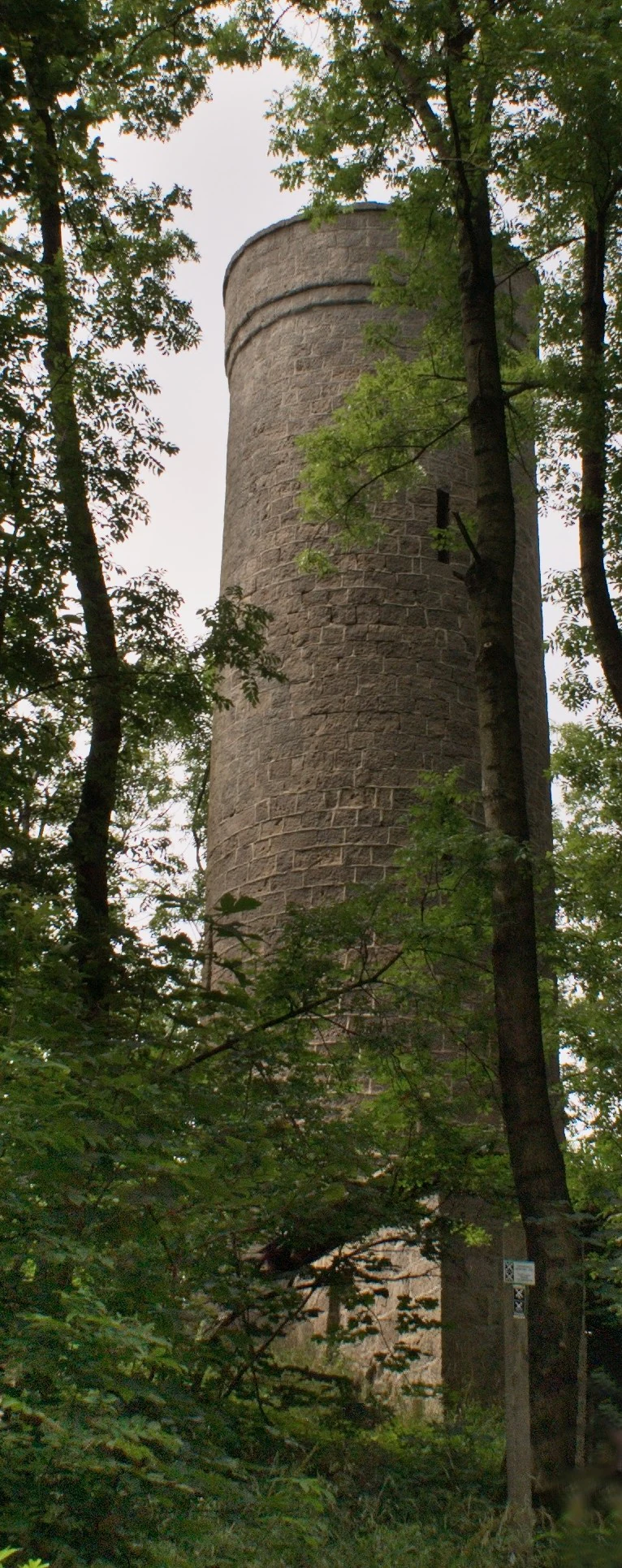 A tall, cylindrical stone observation tower stands partially obscured by dense green deciduous trees in a forest.