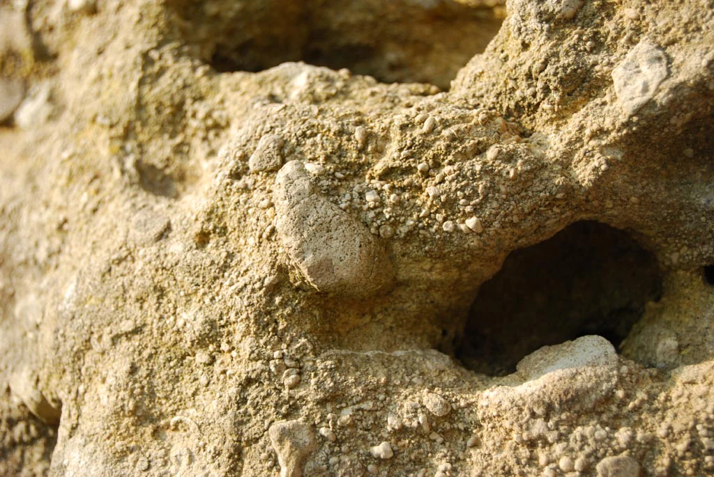 Detailed close-up shot of weathered, granular rock showing embedded pebbles and small cavities.