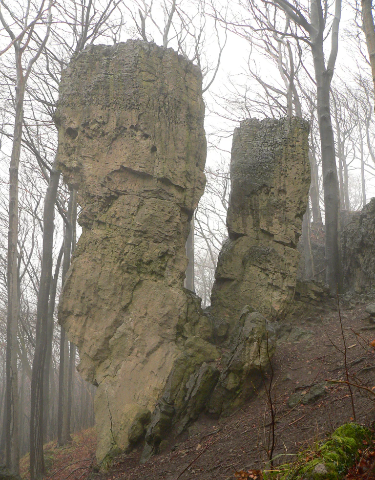 Two prominent, tall, weathered limestone rock pillars standing in a dense, misty deciduous forest.