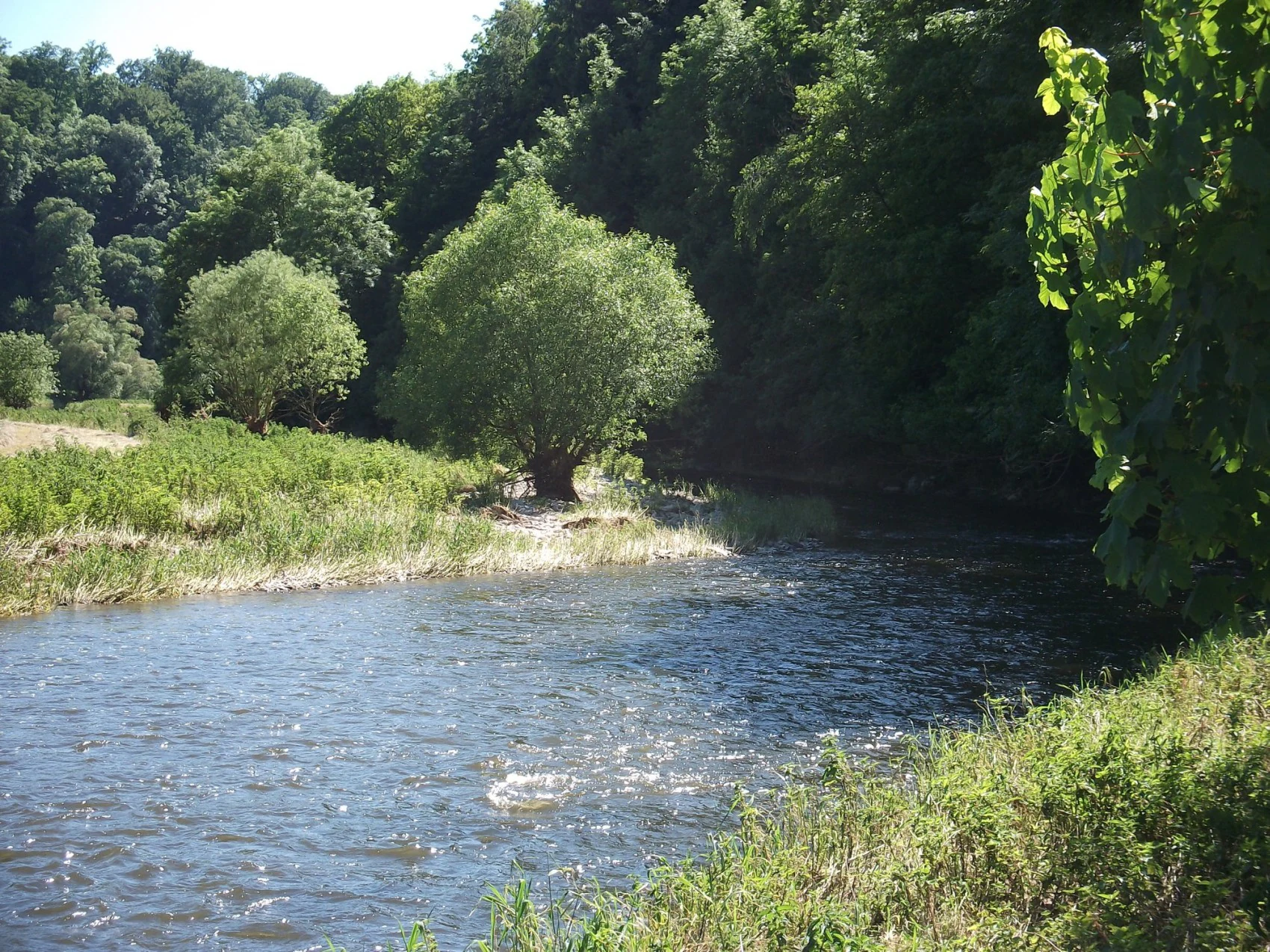A gentle river flowing through a green landscape with trees and thick vegetation along the banks under bright sunlight.