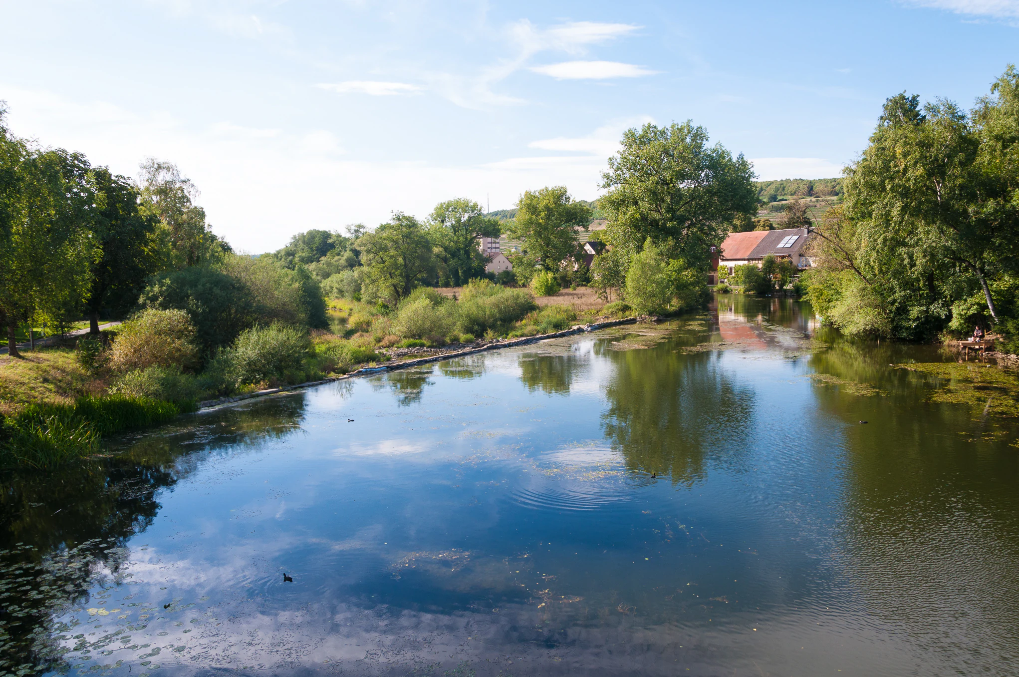 A view of a calm, reflective river surrounded by lush trees and green banks under a clear blue sky, with a small residential building visible on the bank.