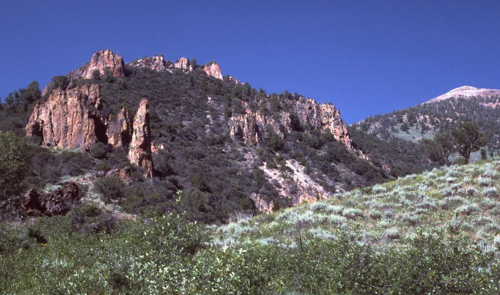 Rugged, light-colored rock pinnacles rise above dark green scrub and sagebrush-covered hills under a clear blue sky.
