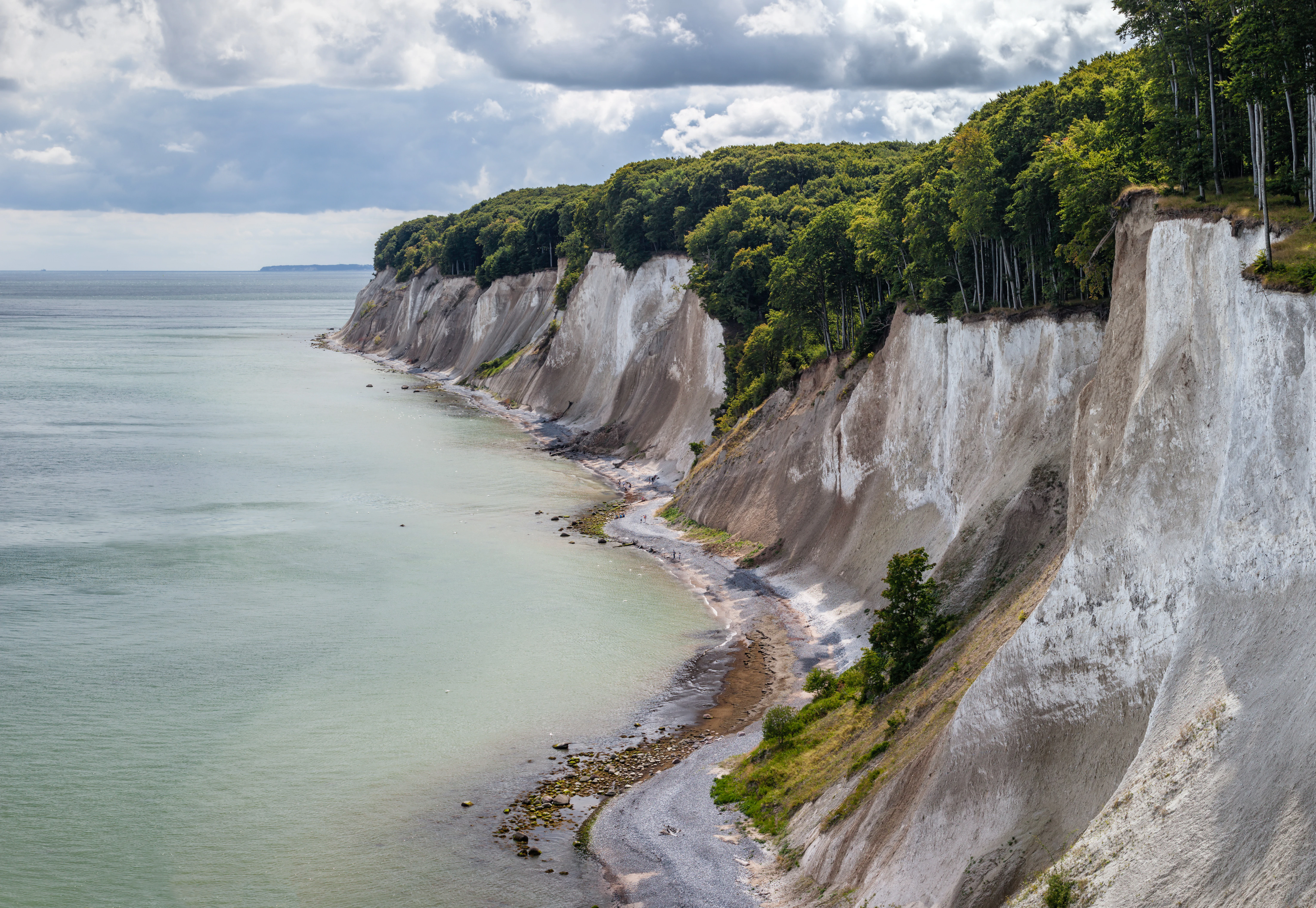 Chalk cliffs rising from the Baltic Sea coast with dense forest on top and a narrow path along the shoreline