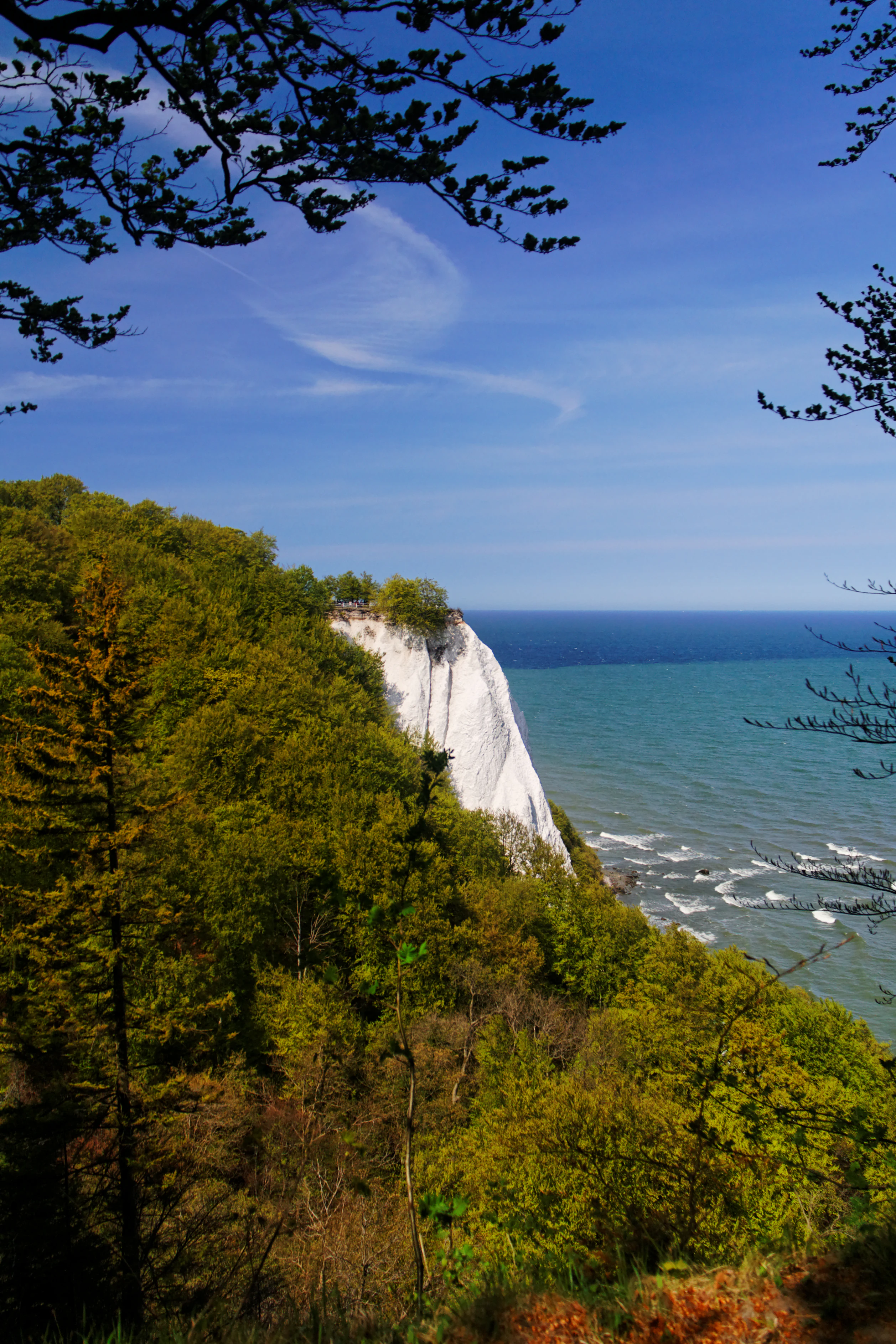 White chalk cliff face rising above the sea with green forested hillside and blue sky