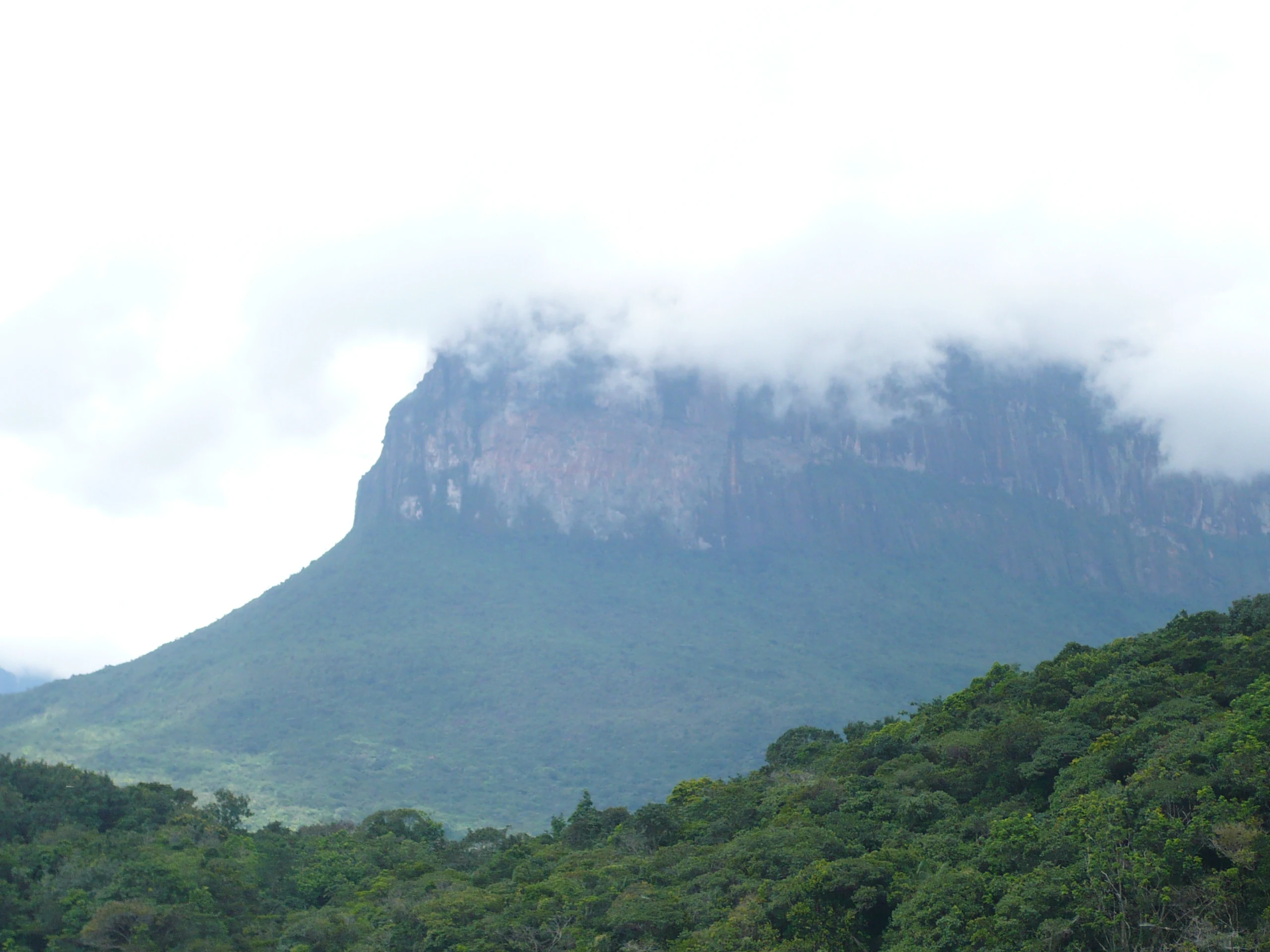 A large sandstone table mountain, or tepuy, with sheer cliffs partially obscured by low-hanging clouds, rising above a dense green forest canopy.