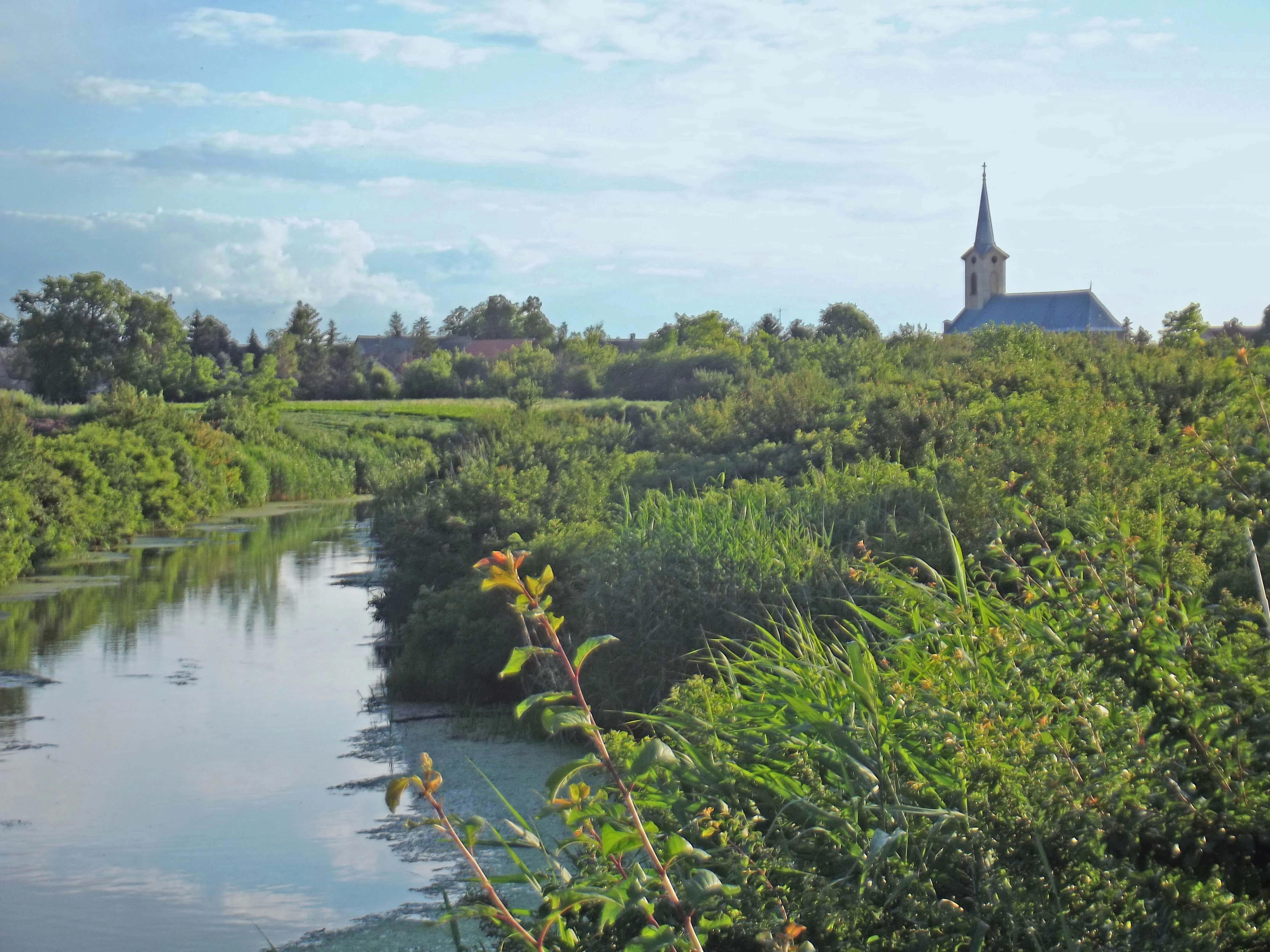 River flowing through dense vegetation with a church steeple in the background under a partly cloudy sky