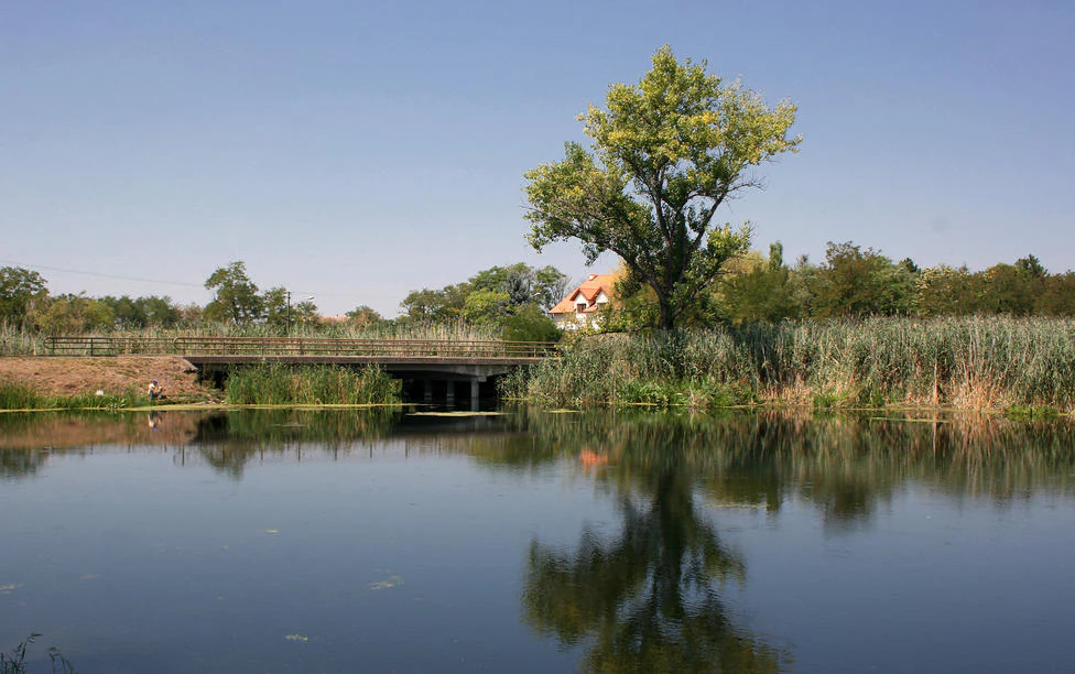 A bridge spanning a calm lake with reeds and a tree in the foreground, reflecting in the water under a clear blue sky