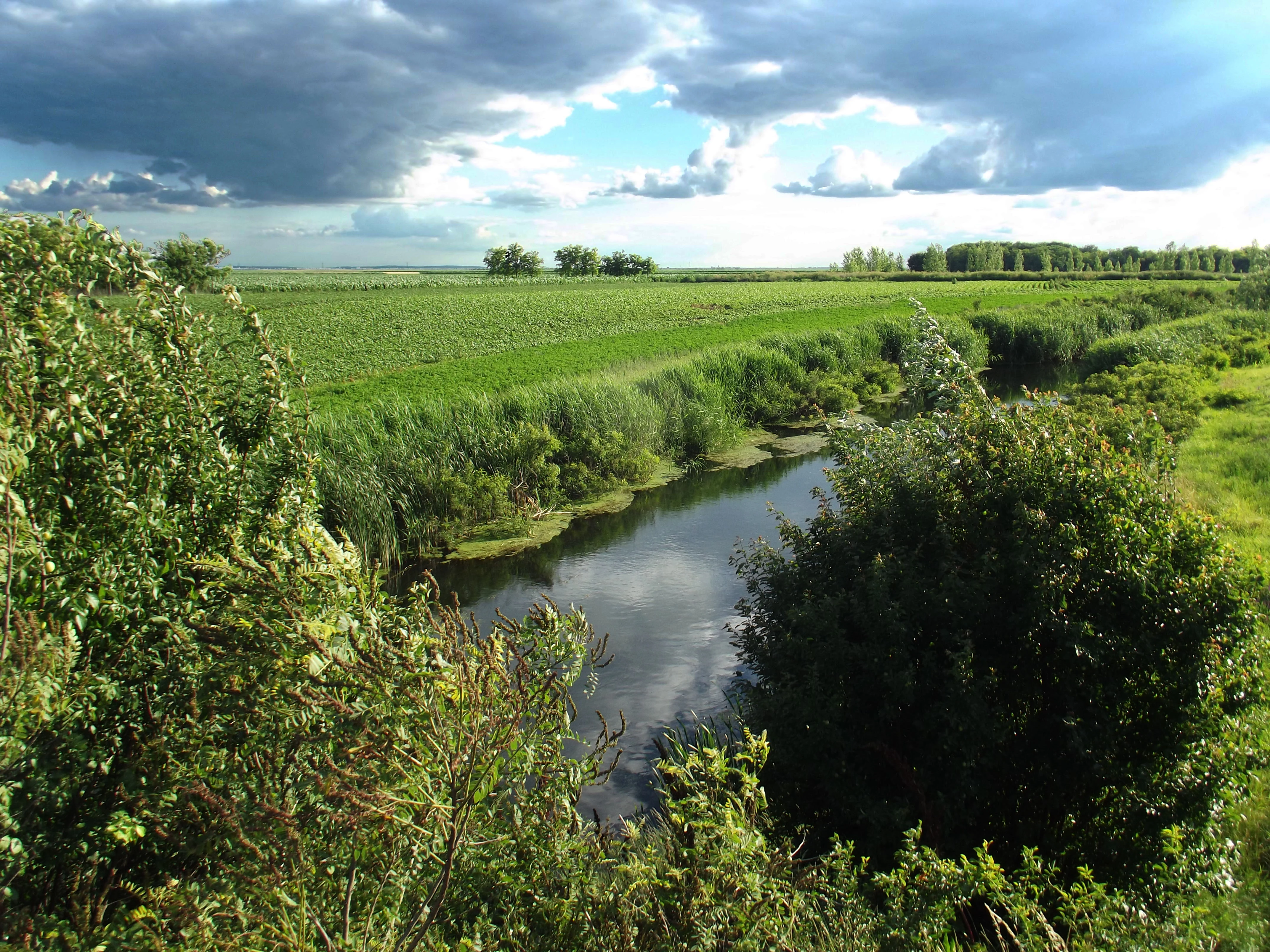 River winding through dense vegetation with green fields and distant trees under a partly cloudy sky
