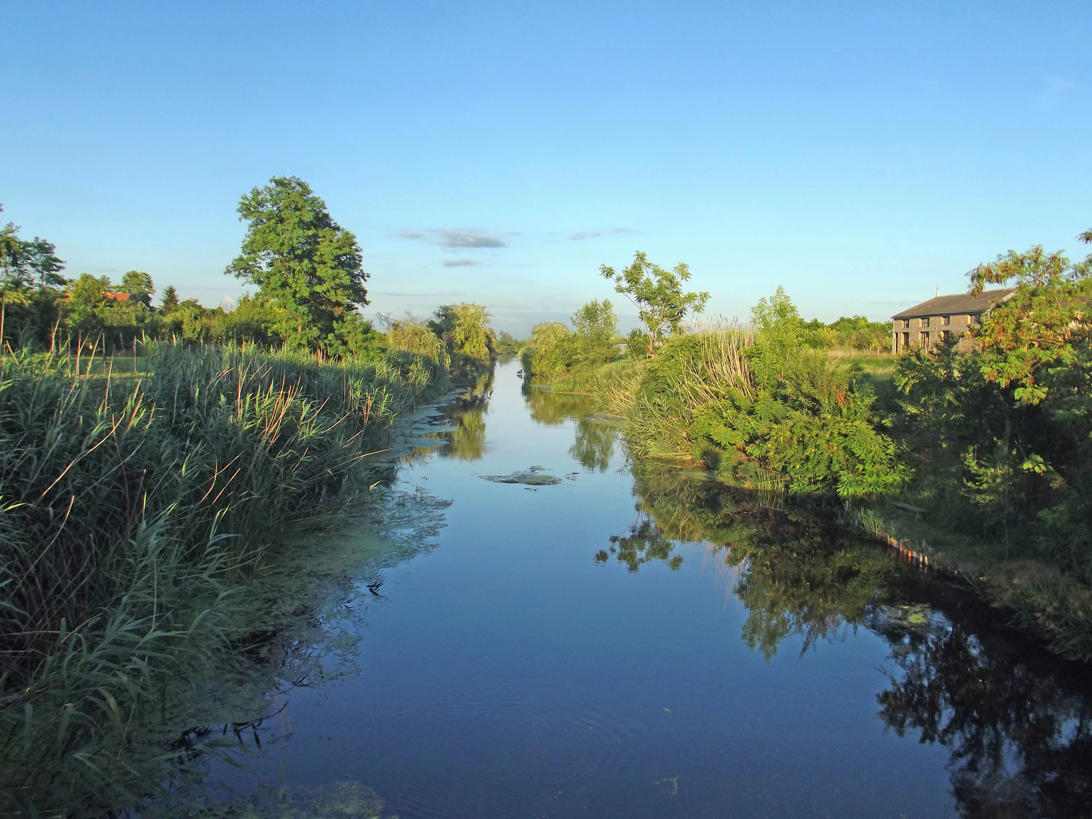 A calm river flowing through a natural landscape with tall reeds on the left, dense green trees and bushes on both banks, and a clear blue sky. The water reflects the vegetation and sky.