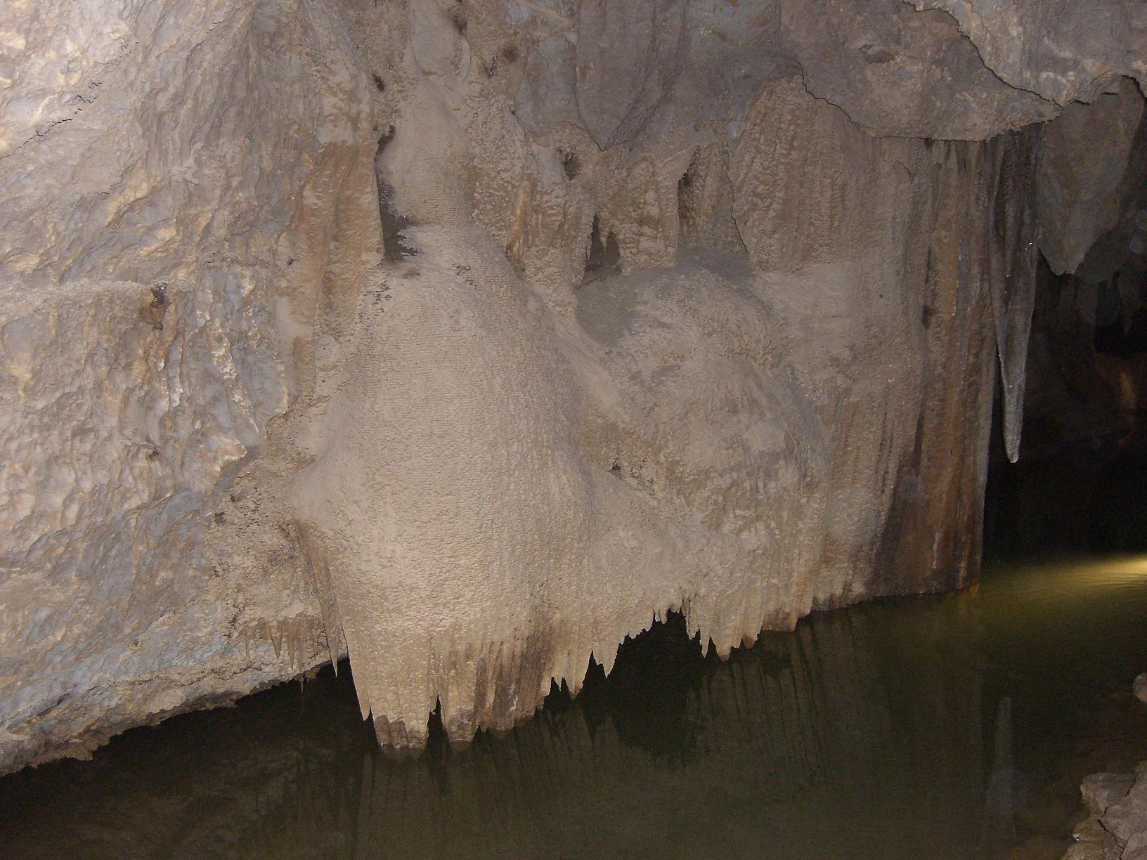 Interior view of a cave featuring light-colored limestone dripstone formations hanging above a dark pool of water.