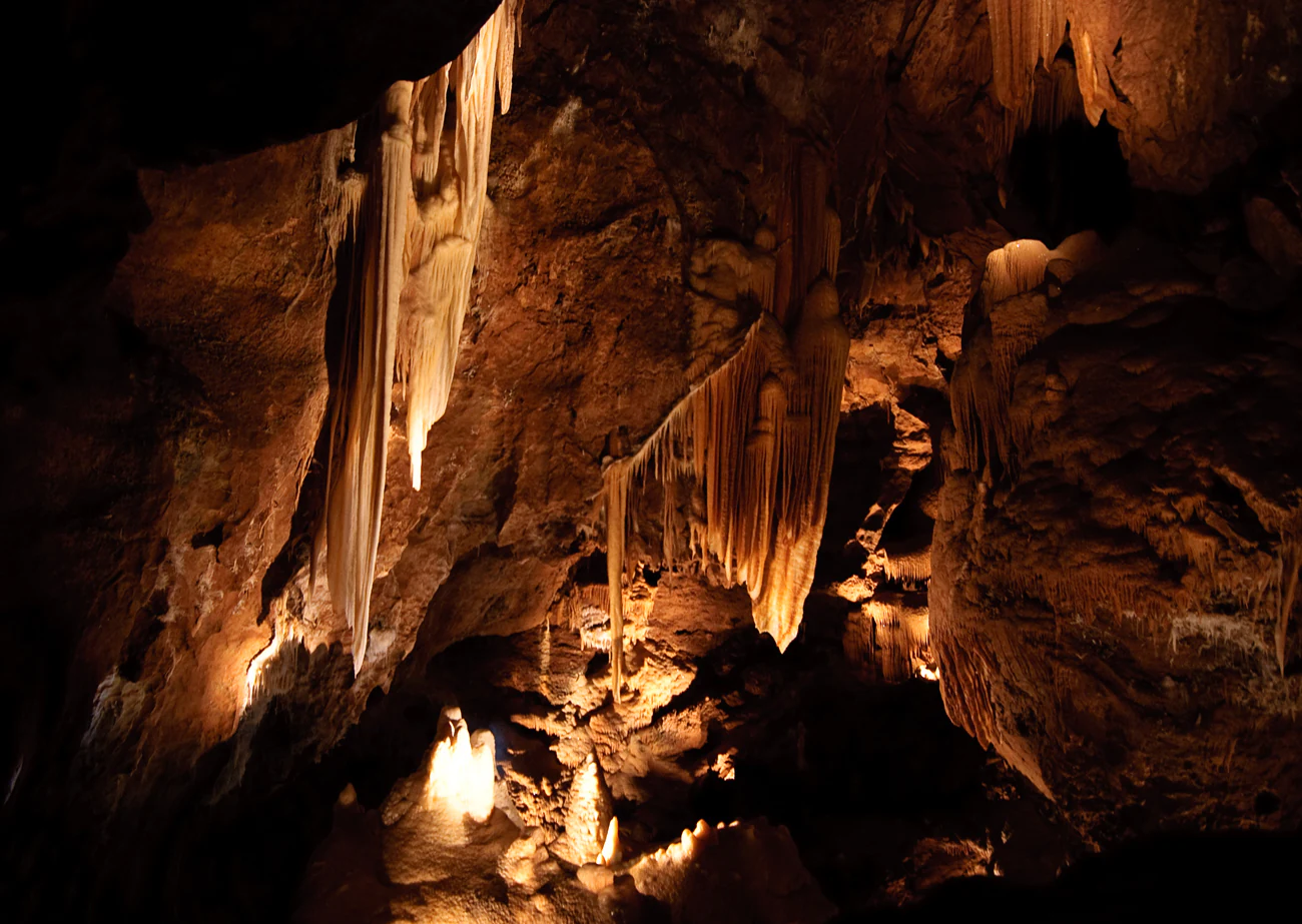 A low-light interior view of a cave featuring large, illuminated limestone stalactites and flowstone formations, notably a large, thin, wing-like drape.
