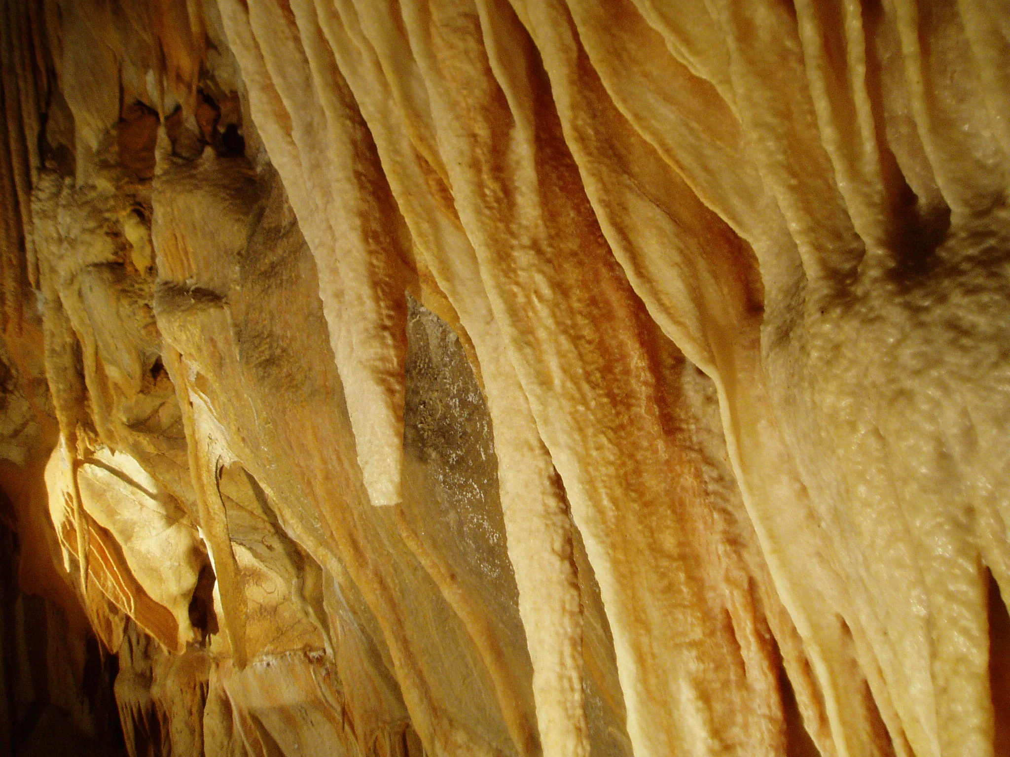 Close up of pale, thin, rippled limestone shawl formations hanging from a cave wall.