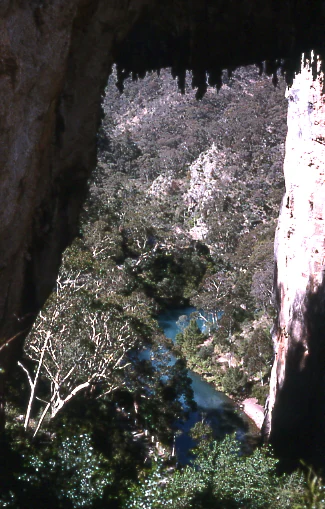 A framed view looking down from underneath the natural limestone rock formation of Carlotta Arch onto a tree covered valley and a winding blue creek below.