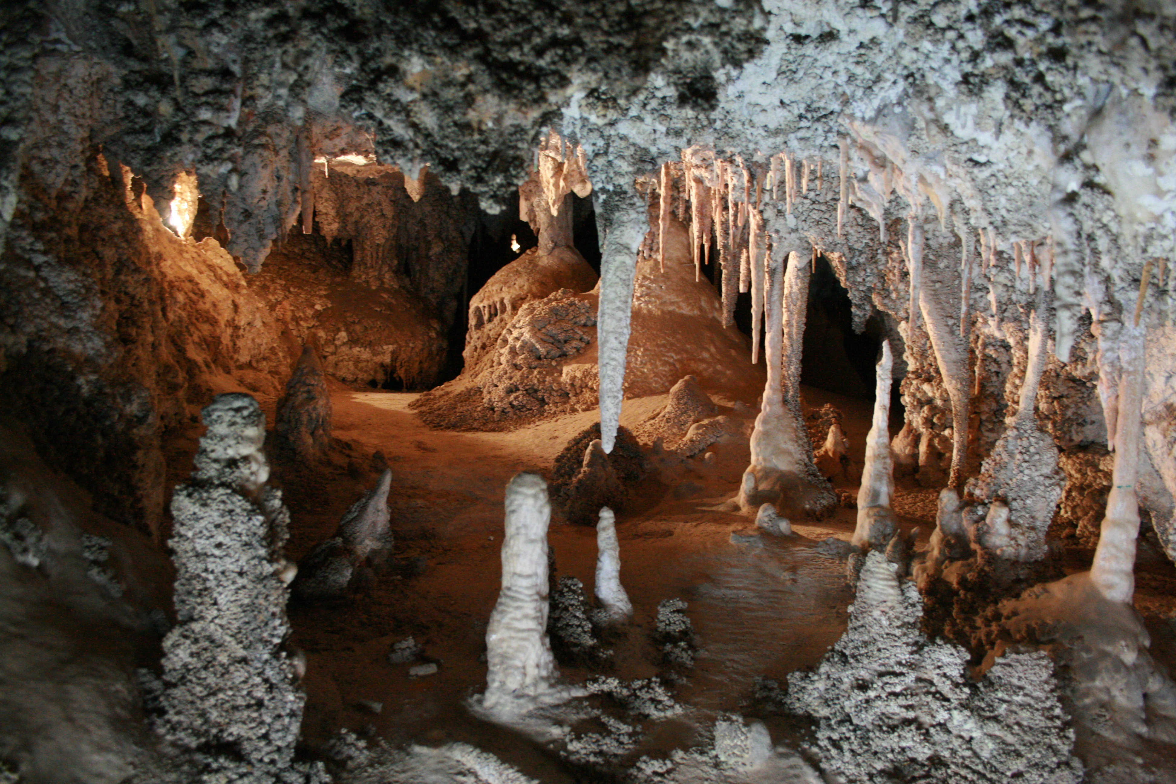 A variety of stalactites and stalagmites made of light-colored limestone inside a dimly lit cave, with artificial lighting creating warm shadows.