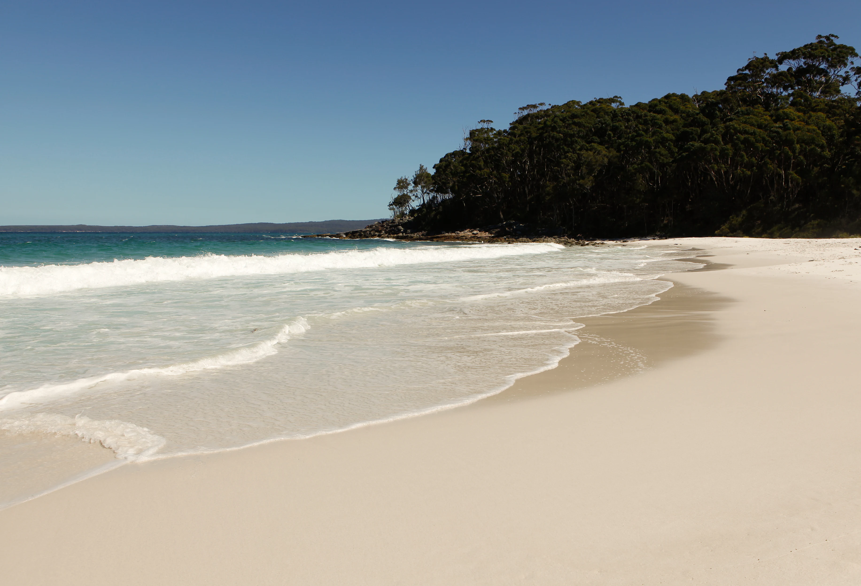 A wide, sandy beach with light-colored sand meets turquoise ocean waves under a clear blue sky, with a dense forest line on the right.
