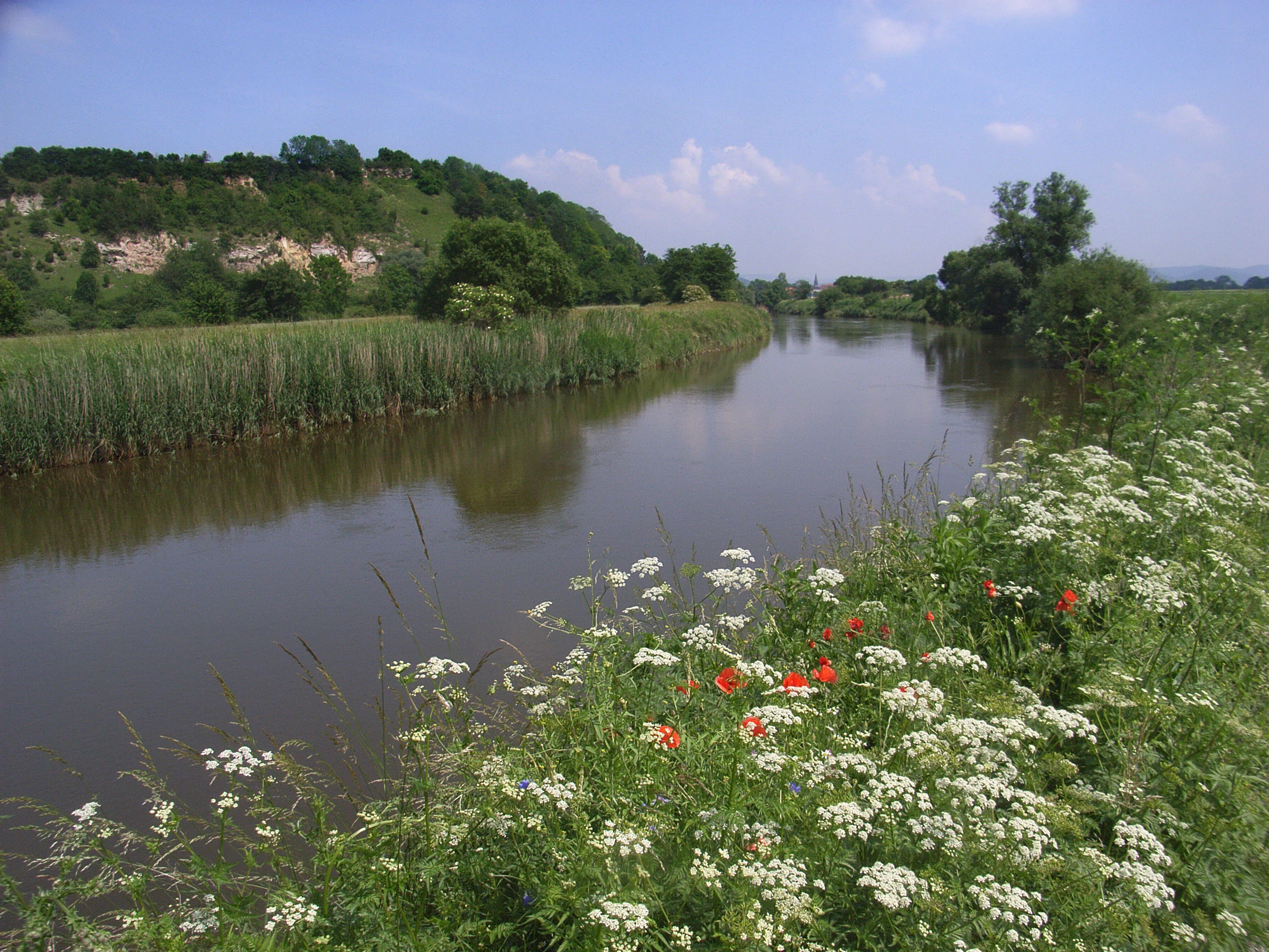 A wide river flows through a green valley, bordered by reeds and a wooded hill with exposed rock faces on the left, and white and red wildflowers in the grassy foreground on the right.