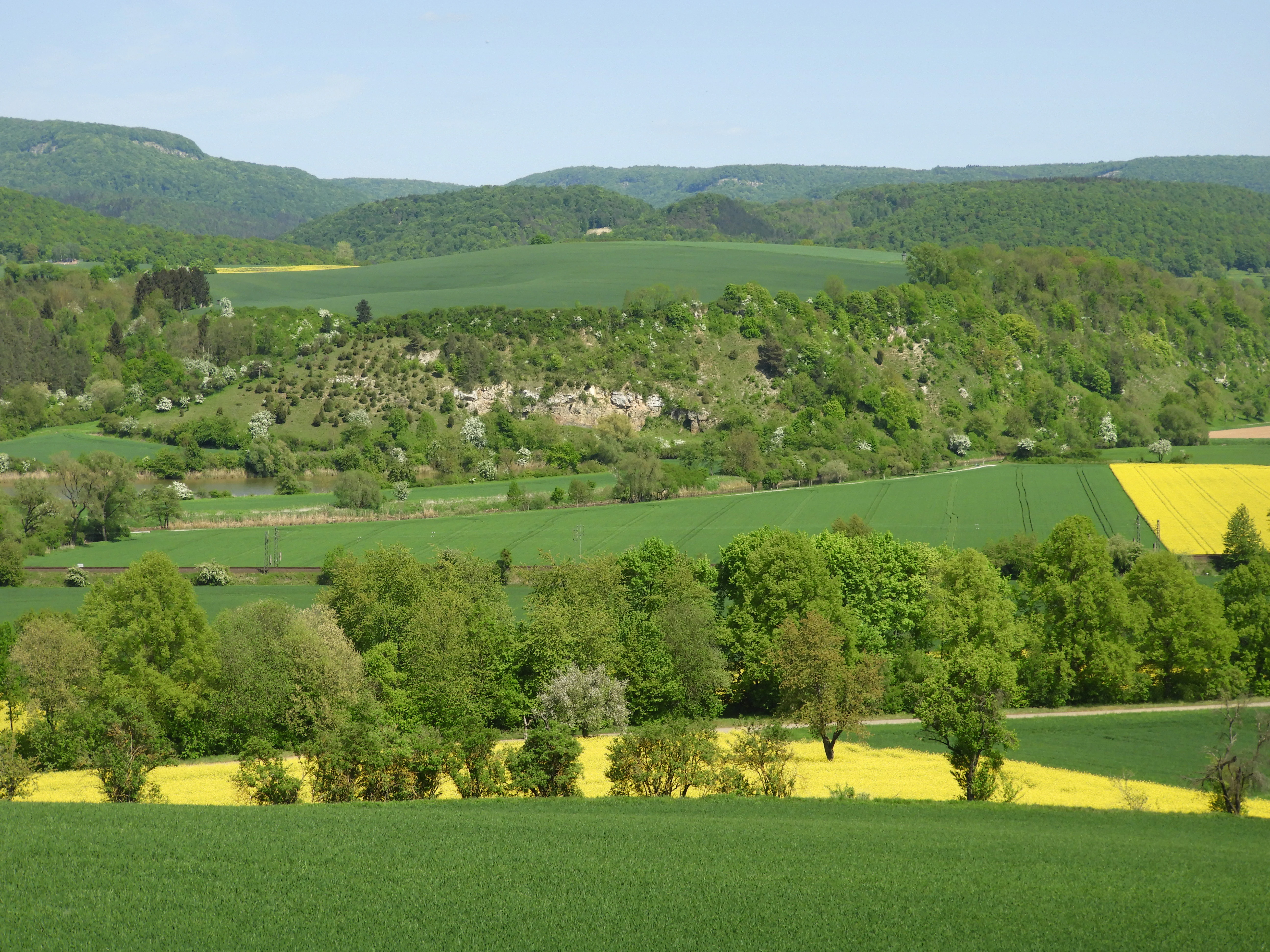 A wide landscape view showing rolling green hills, yellow rapeseed fields, scattered trees, and a rocky cliff face in the midground under a clear blue sky.