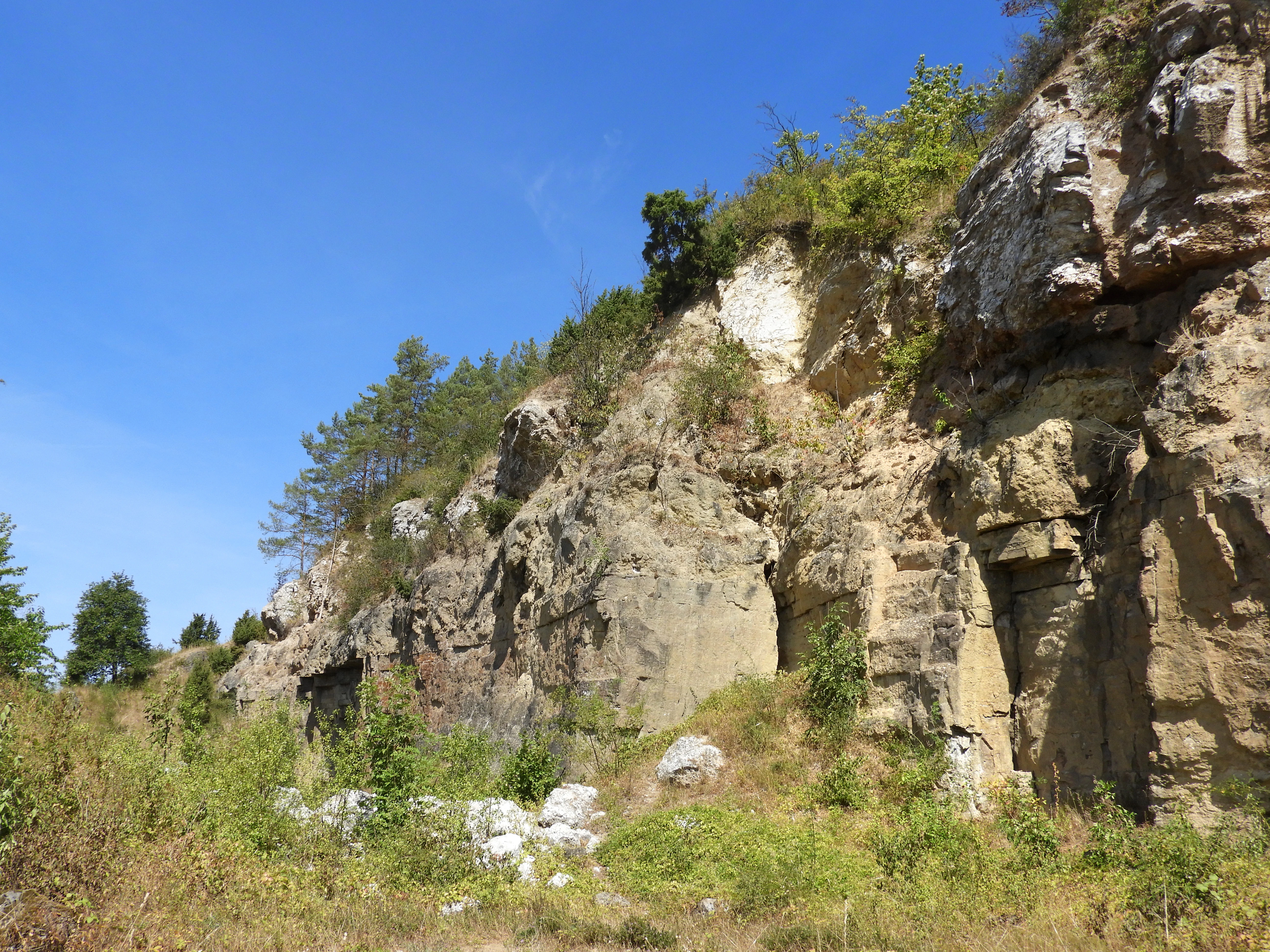 A steep rocky cliff face with layered dolomite rock formations, vegetation growing on top and at the base, white rock rubble in the foreground, and a clear blue sky above.
