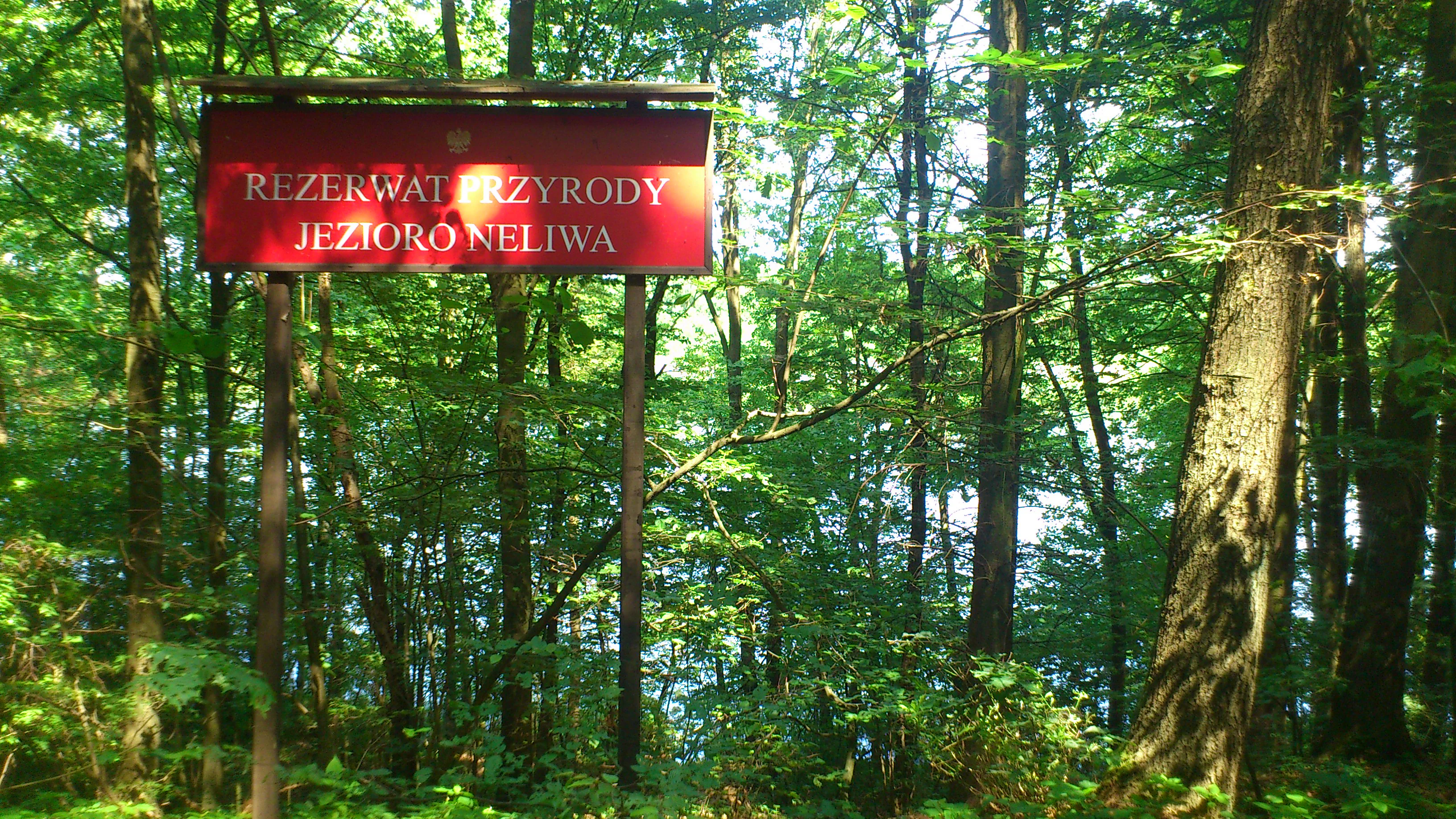 A red rectangular sign with white text reading REZERWAT PRZYRODY JEZIORO NELIWA mounted on two posts within a dense green forest.