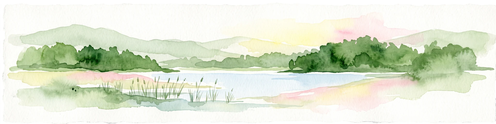 A horizontal watercolor illustration showing a calm lake surrounded by greenery and distant rolling hills, with reeds in the foreground.