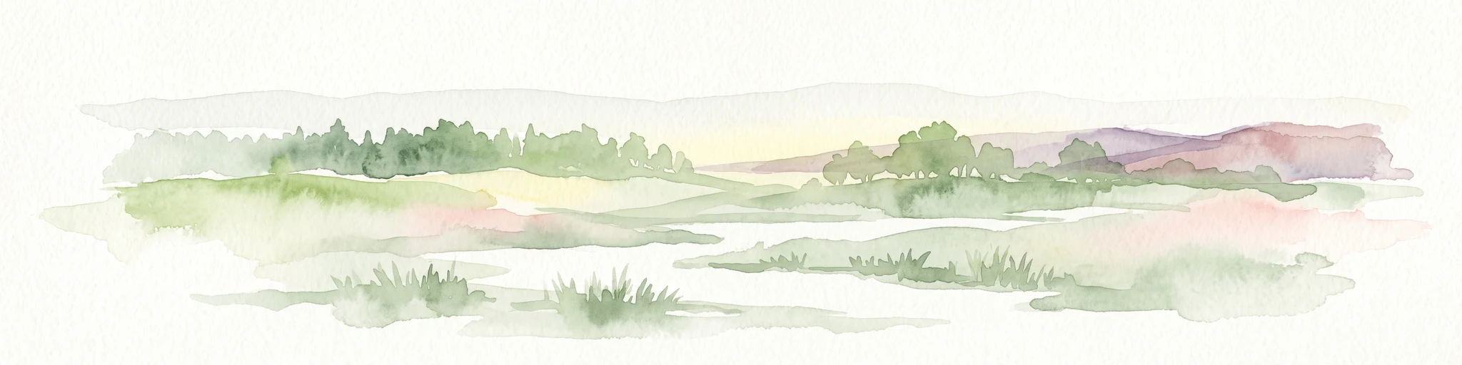 A watercolor painting showing a soft, muted landscape of wetlands, grasses, and distant trees with a white background.