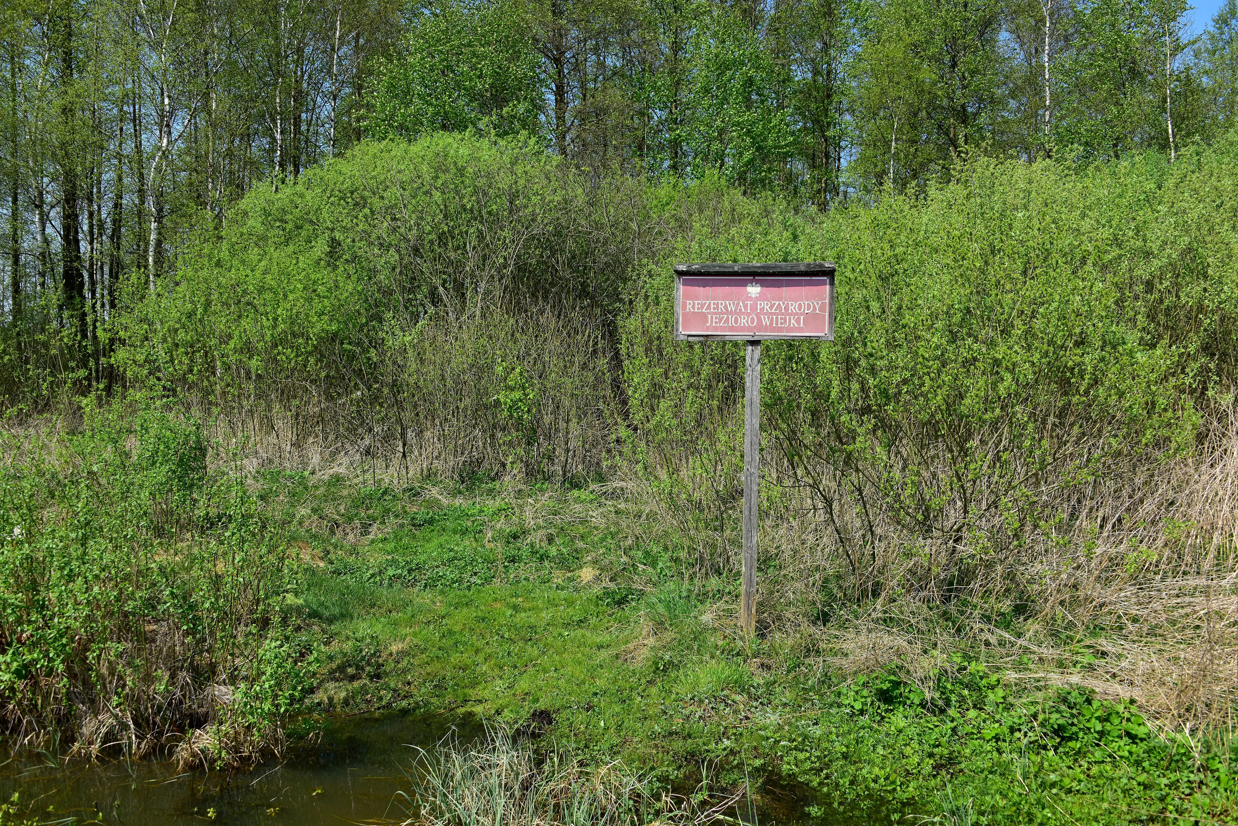 A brown wooden sign on a post standing in a green, swampy, and forested nature reserve area.