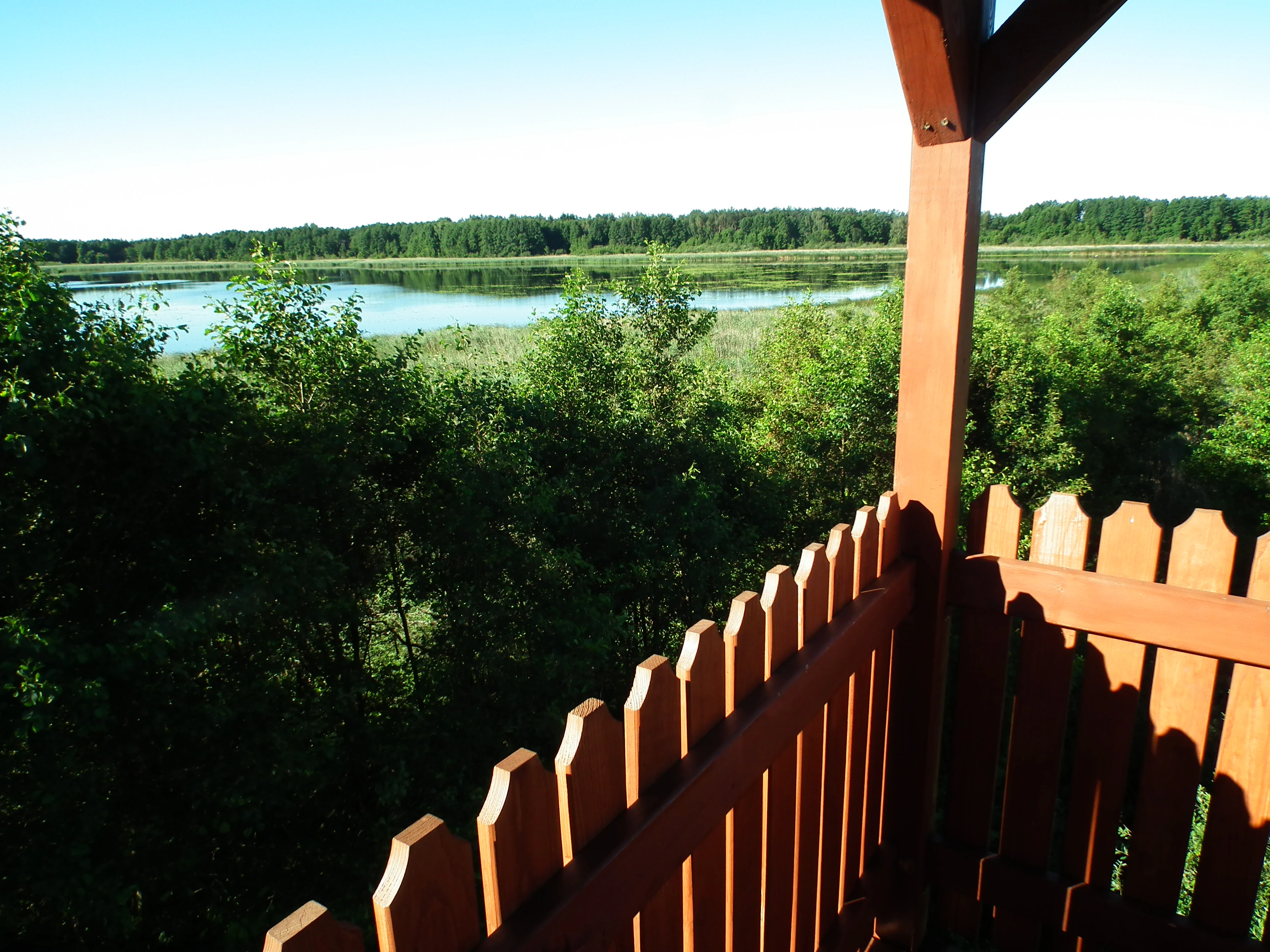 Looking out from a wooden observation tower over a lake bordered by dense forest and marshland.